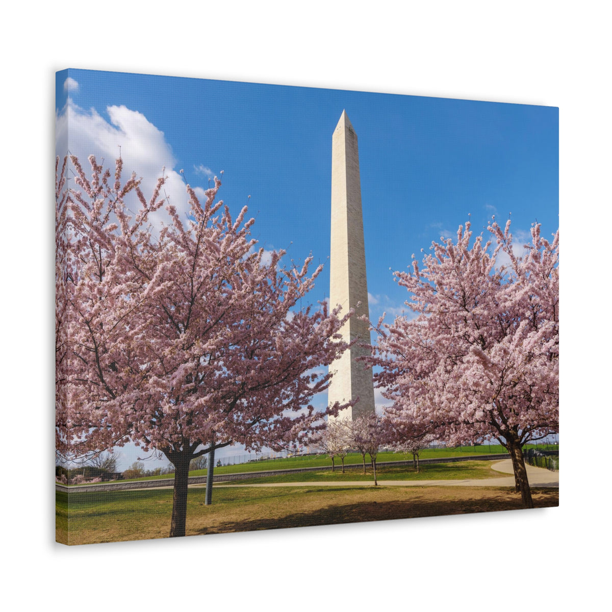 Mall Washington Blossom Festival Nature Wilderness Photography Canvas Wall Art for Home Decor Ready-to-Hang-Express Your Love Gifts