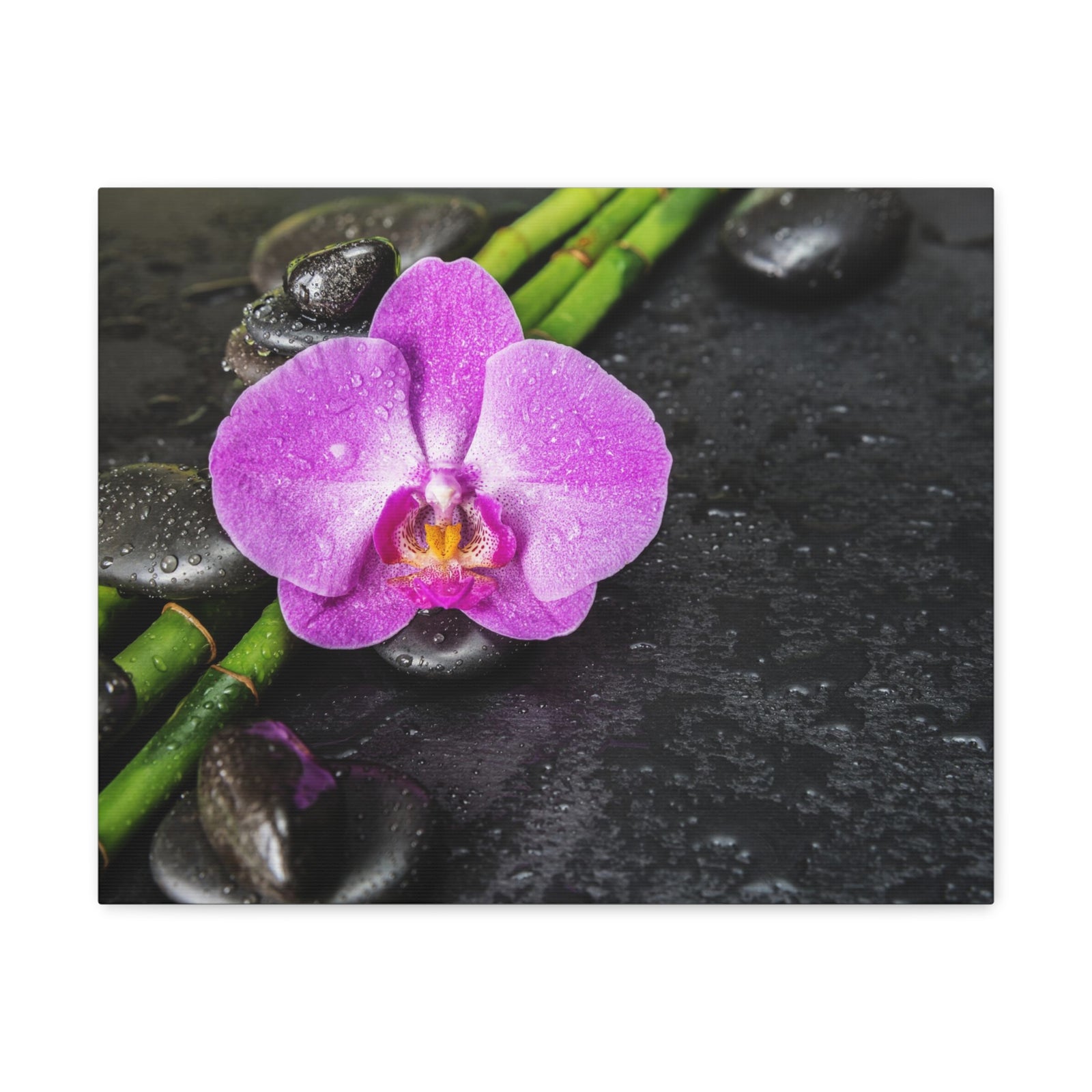 Pink Orchid and Stone Forest Floral Nature Photography Canvas Wall Art for Home Decor Ready-to-Hang-Express Your Love Gifts