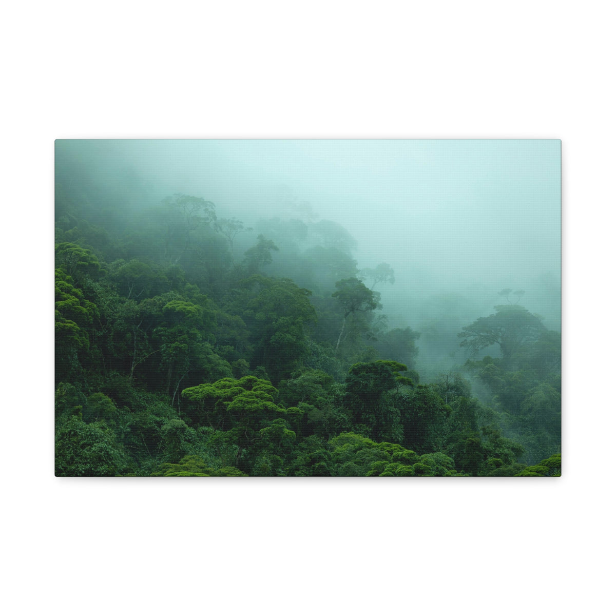 Dark Misty Forest Nature Wilderness Photography Canvas Wall Art for Home Decor Ready-to-Hang-Express Your Love Gifts