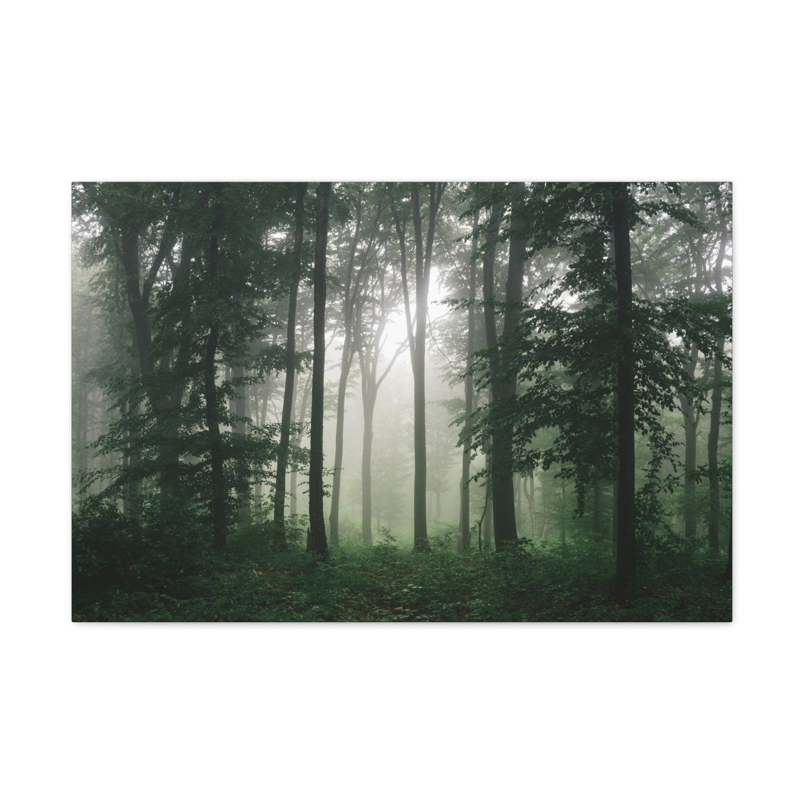 Pine Tree Misty Forest Nature Wilderness Photography Canvas Wall Art for Home Decor Ready-to-Hang-Express Your Love Gifts