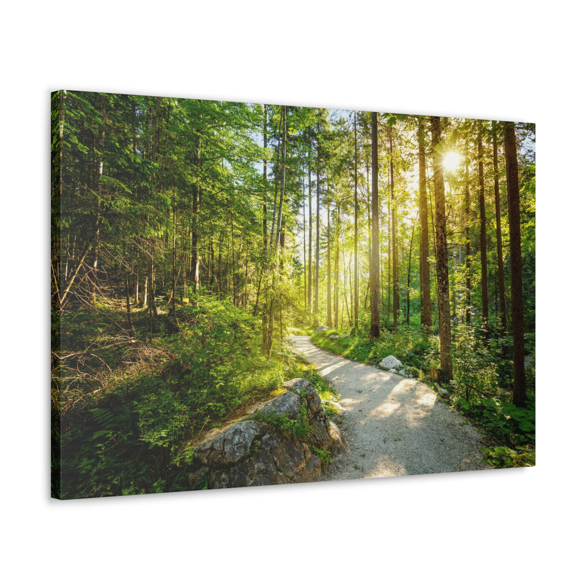 Sunlight Passing Through Green Forest Path Nature Wilderness Photography Canvas Wall Art for Home Decor Ready-to-Hang-Express Your Love Gifts