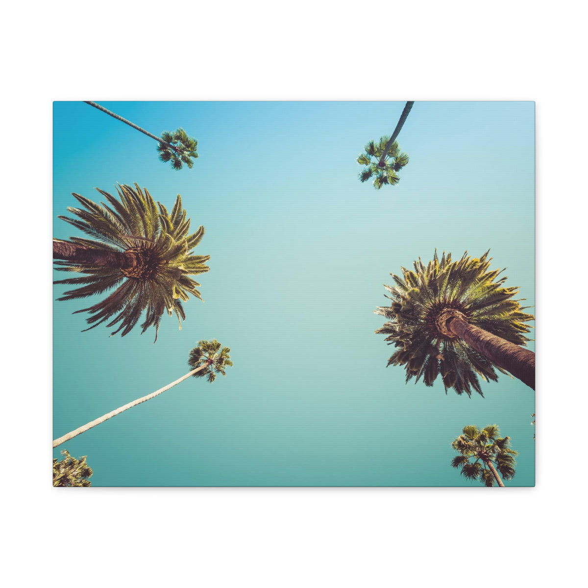 Los Angeles Palm Trees Modern Multicolor Scenic Nature Photography Canvas Home Office Decor Ready to Hang-Express Your Love Gifts