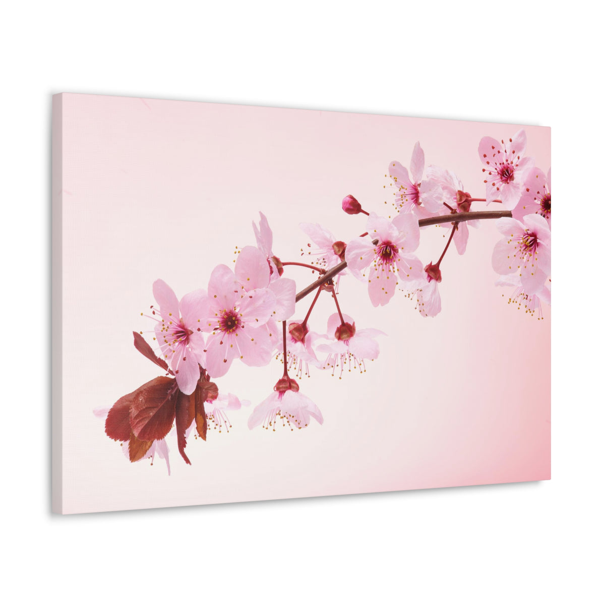 Single Cherry Blossom Forest Floral Nature Photography Canvas Wall Art for Home Decor Ready-to-Hang-Express Your Love Gifts
