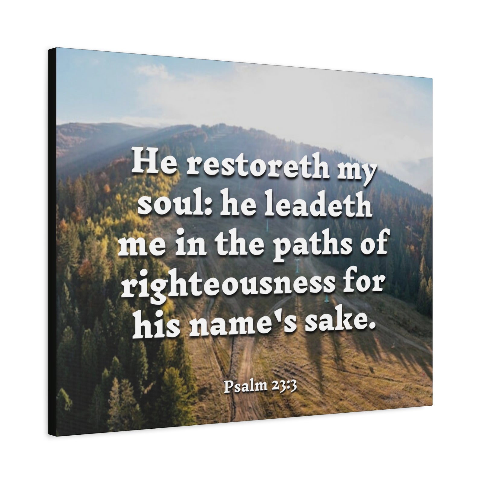 Scripture Canvas Paths Of Righteousness Psalm 23:3 Christian Wall Art Bible Verse Print Ready to Hang