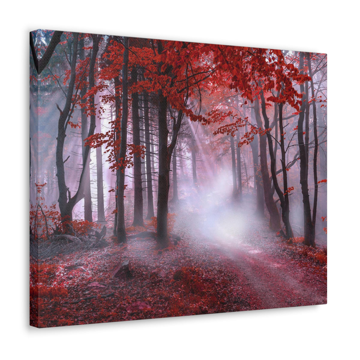 Foggy Autumn Forest Orange Leaves Nature Wilderness Photography Canvas Wall Art for Home Decor Ready-to-Hang-Express Your Love Gifts