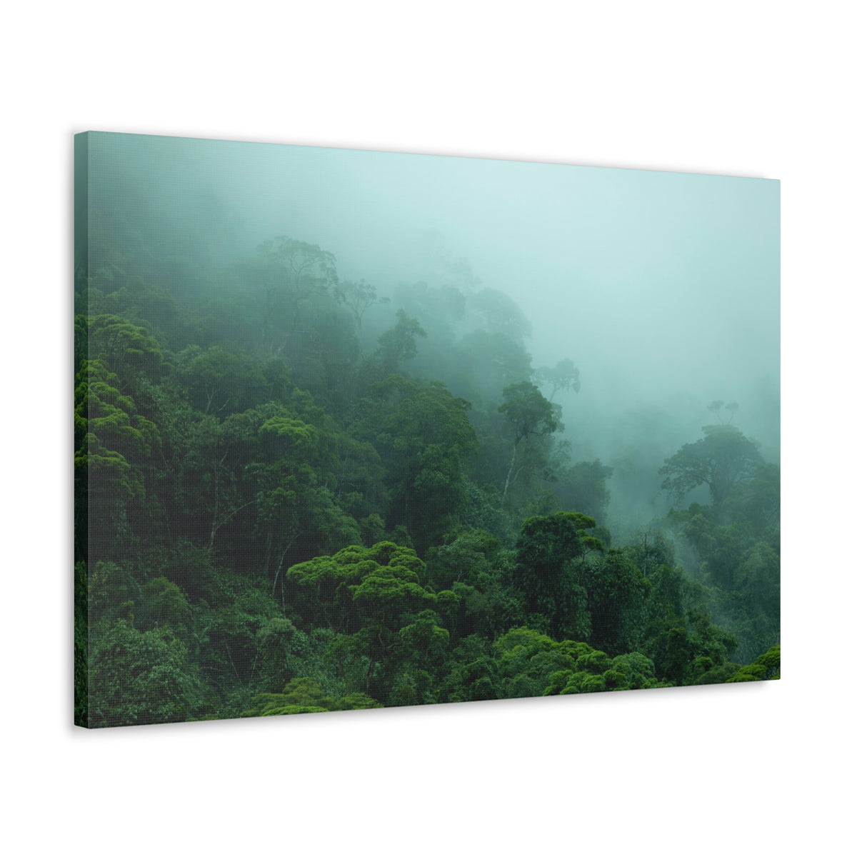 Dark Misty Forest Nature Wilderness Photography Canvas Wall Art for Home Decor Ready-to-Hang-Express Your Love Gifts