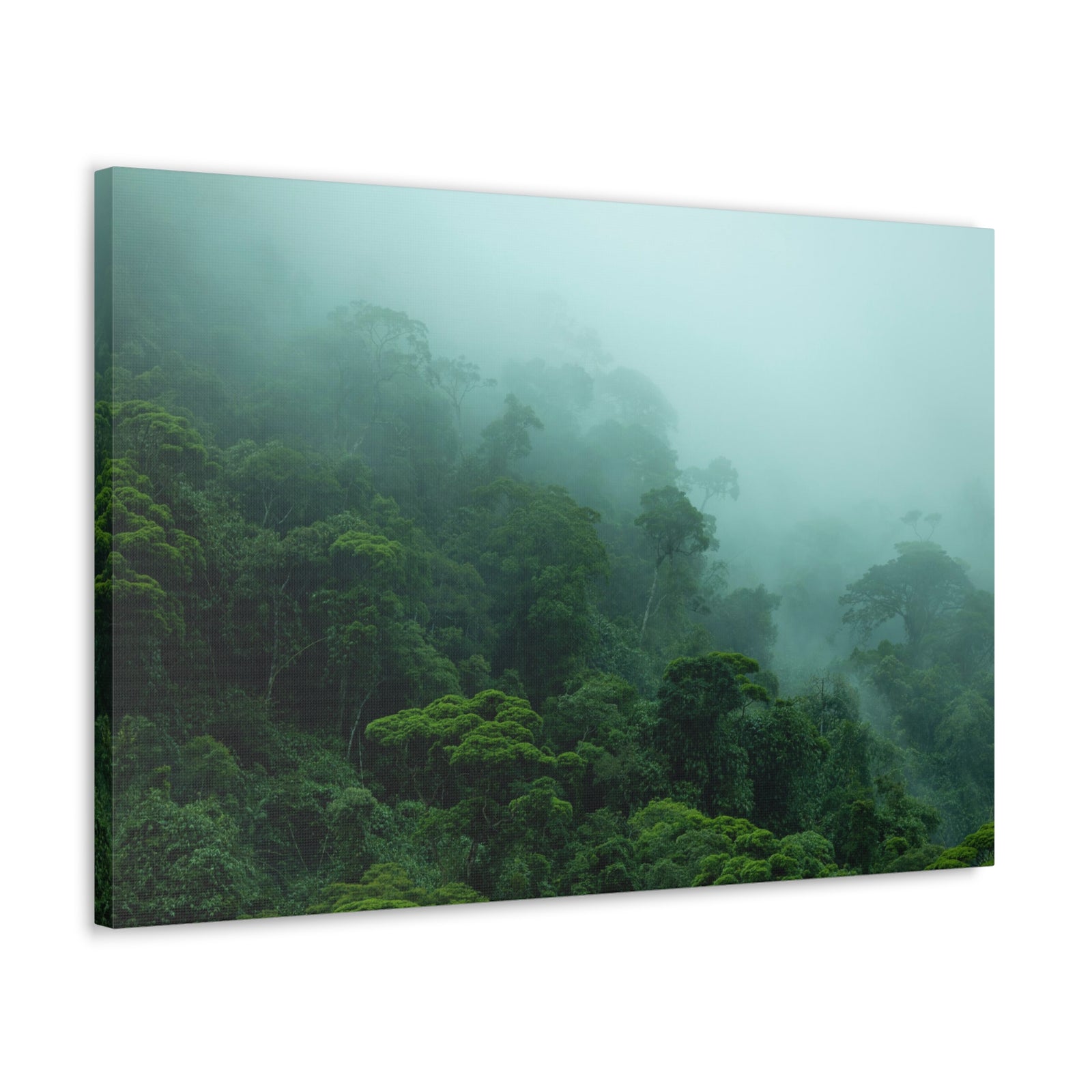 Dark Misty Forest Nature Wilderness Photography Canvas Wall Art for Home Decor Ready-to-Hang-Express Your Love Gifts