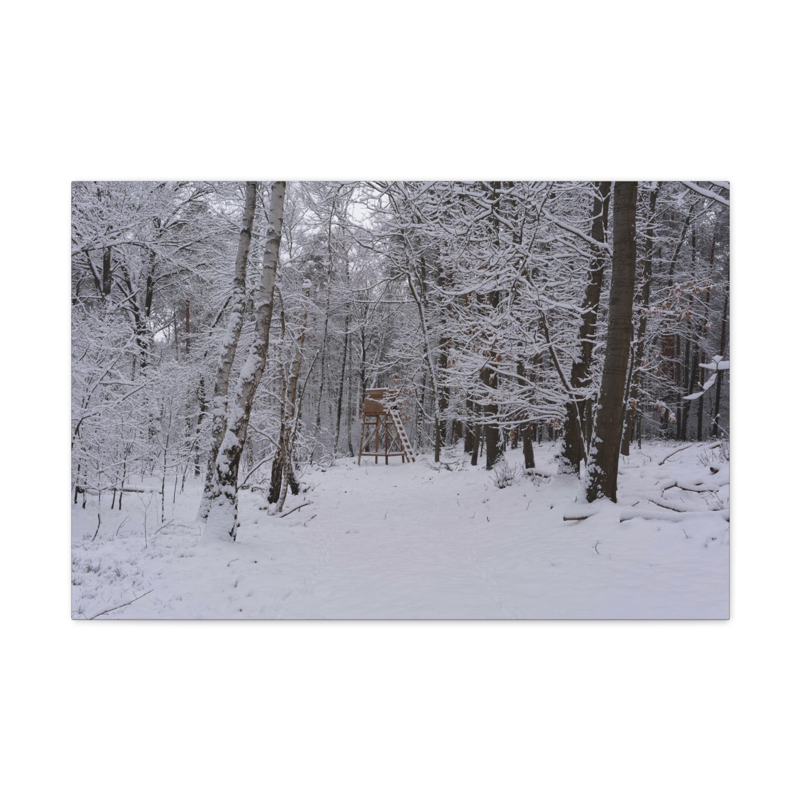 Forest Winter Tree Snow Nature Wilderness Photography Canvas Wall Art for Home Decor Ready-to-Hang-Express Your Love Gifts