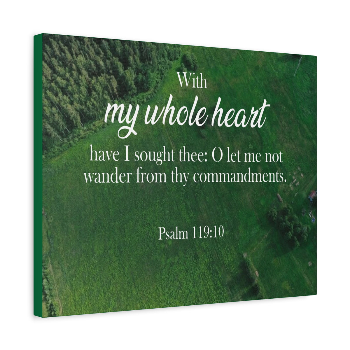 Scripture Walls Psalm 119:10 Whole Heart Bible Verse Canvas Christian Wall Art Ready to Hang Unframed-Express Your Love Gifts