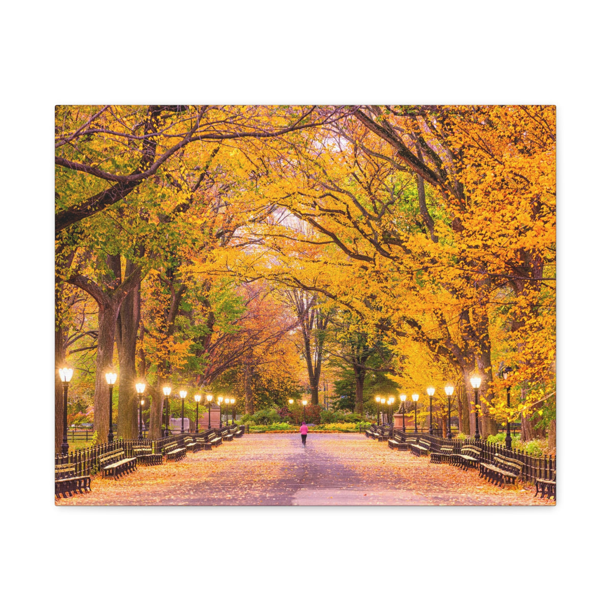 Orange Tree Autumn Park Nature Wilderness Photography Canvas Wall Art for Home Decor Ready-to-Hang-Express Your Love Gifts