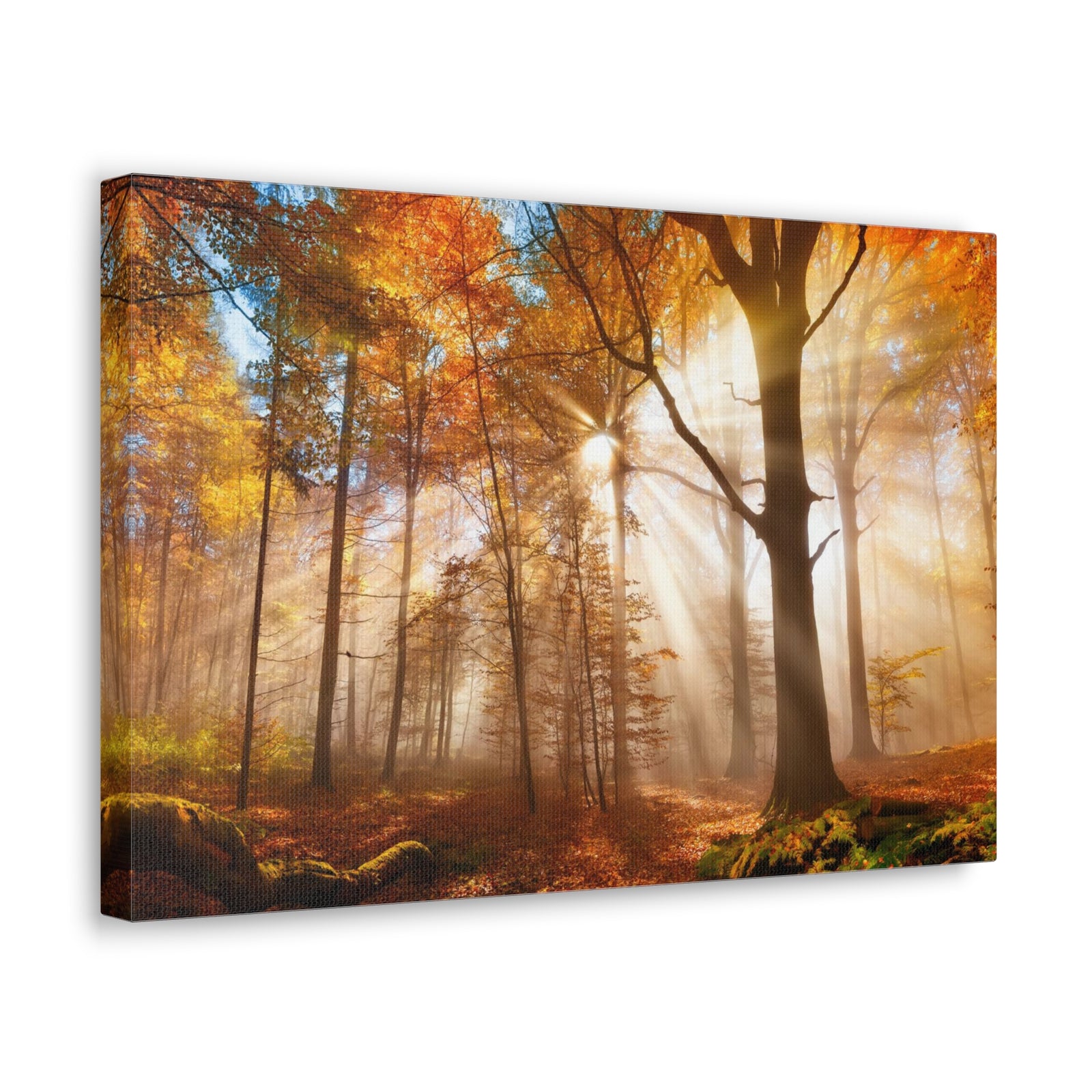 Sunlight Shine Autumn Forest Nature Wilderness Photography Canvas Wall Art for Home Decor Ready-to-Hang-Express Your Love Gifts