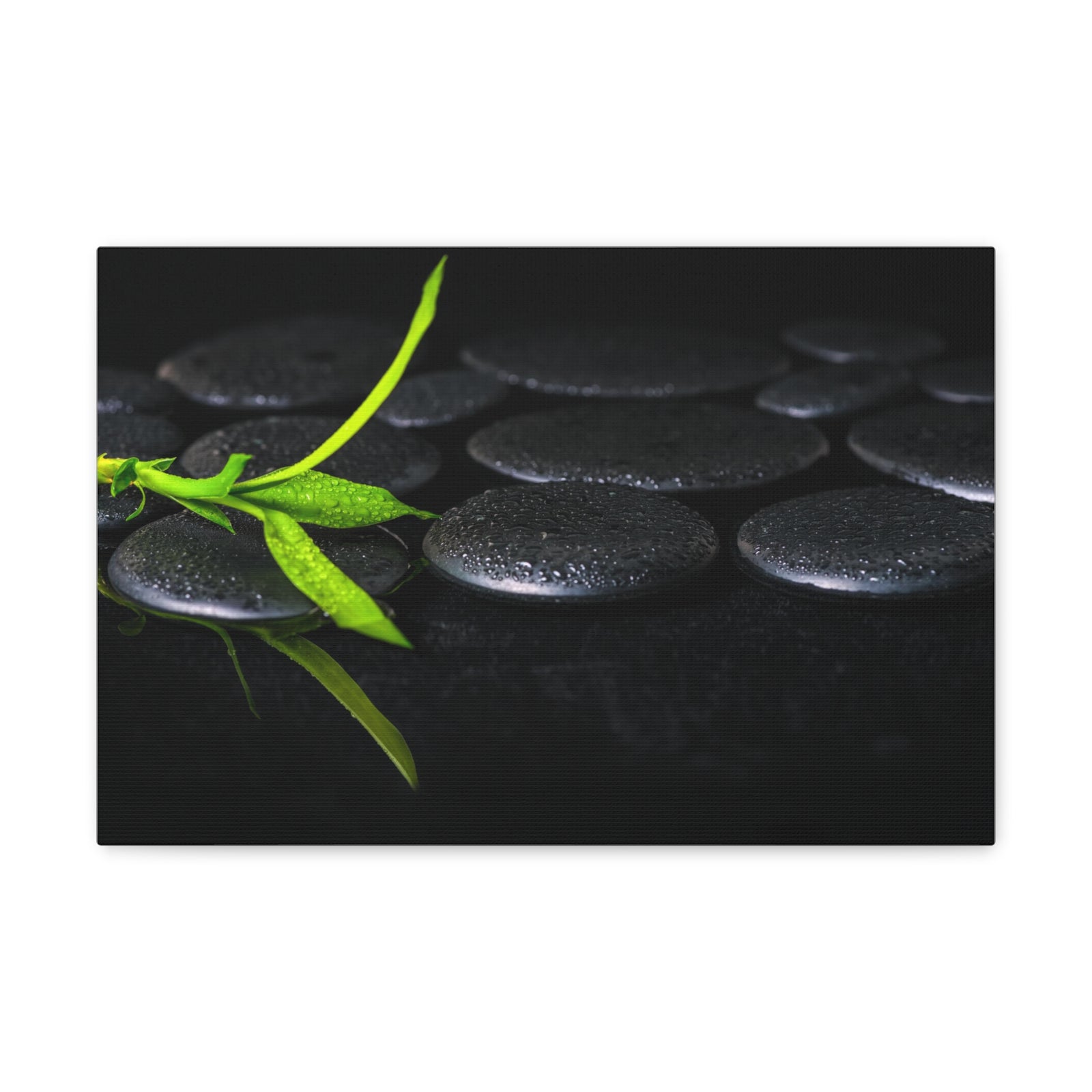 Green Bamboo on Stones Forest Floral Nature Photography Canvas Wall Art for Home Decor Ready-to-Hang-Express Your Love Gifts