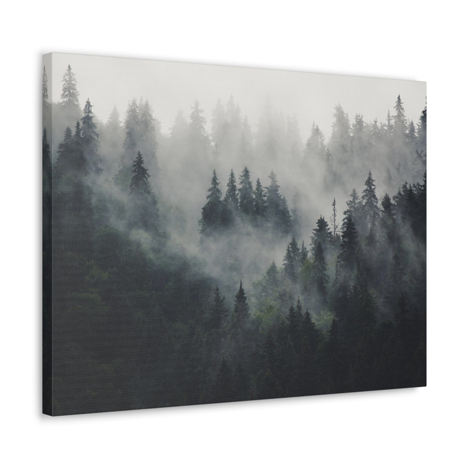 Misty Pine Tree Green Forest Nature Wilderness Photography Canvas Wall Art for Home Decor Ready-to-Hang-Express Your Love Gifts
