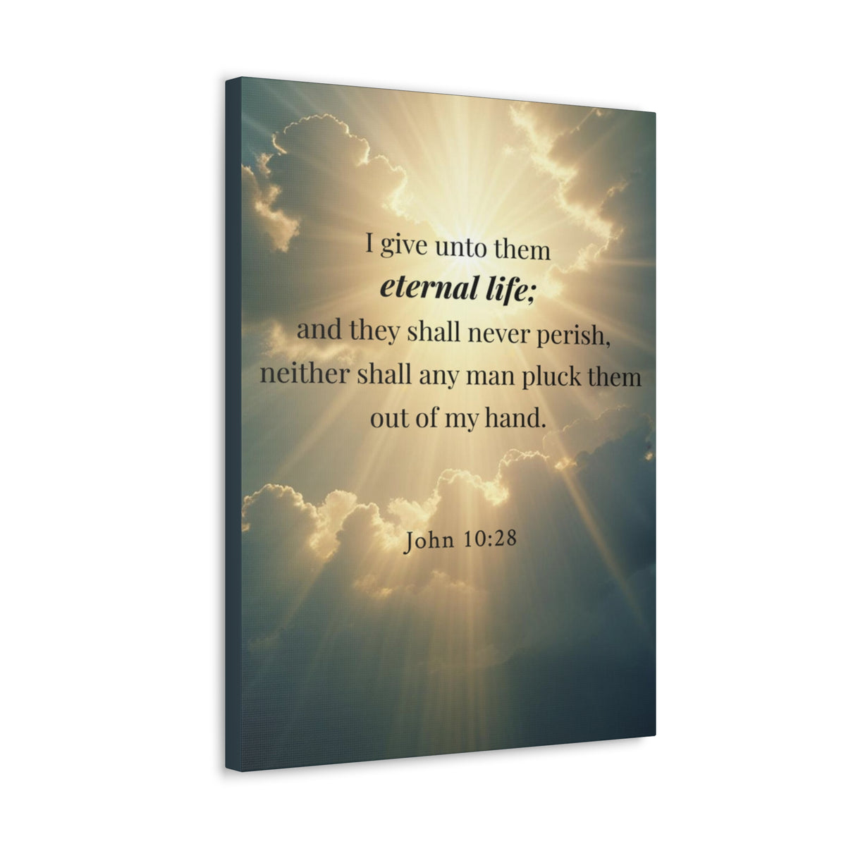 Scripture Walls John 10:28 Eternal Assurance Bible Verse Canvas Christian Wall Art Ready to Hang Unframed-Express Your Love Gifts