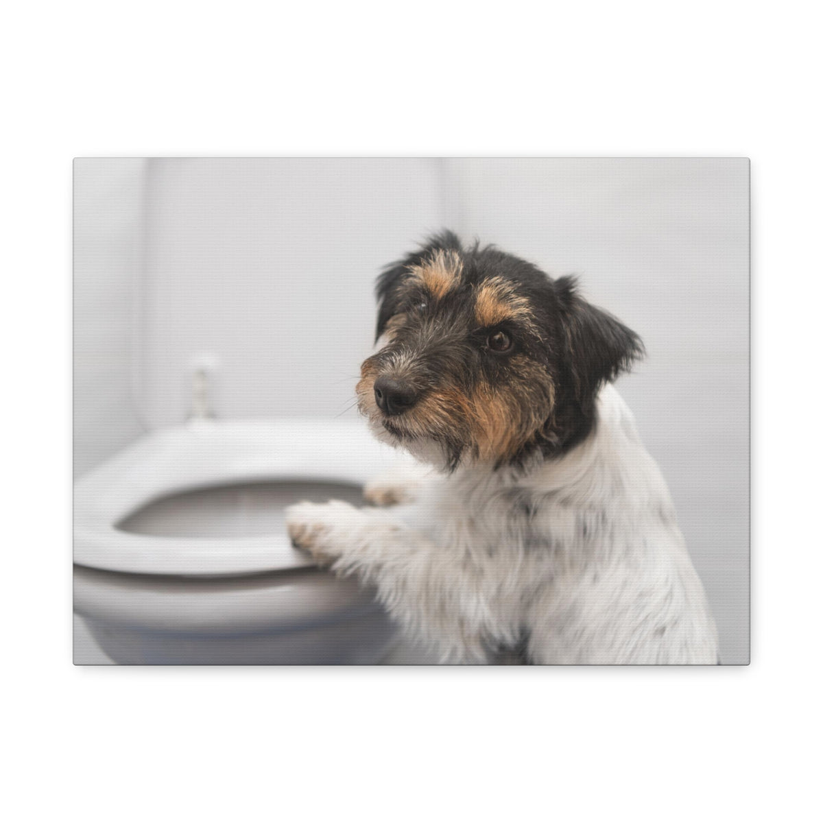 Jack Russell Terrier Standing On Toilet Funny Canvas Wall Art for Home Decor Ready-to-Hand-Express Your Love Gifts