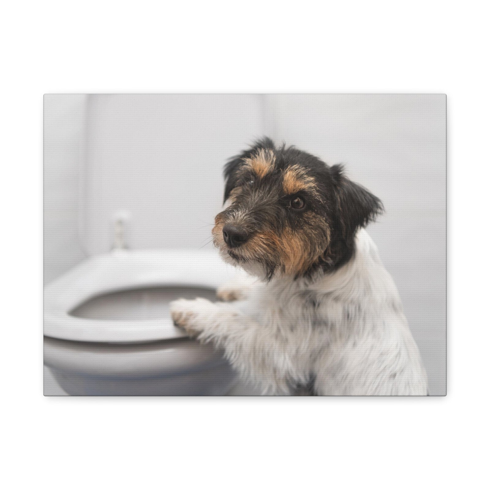 Jack Russell Terrier Standing On Toilet Funny Canvas Wall Art for Home Decor Ready-to-Hand-Express Your Love Gifts