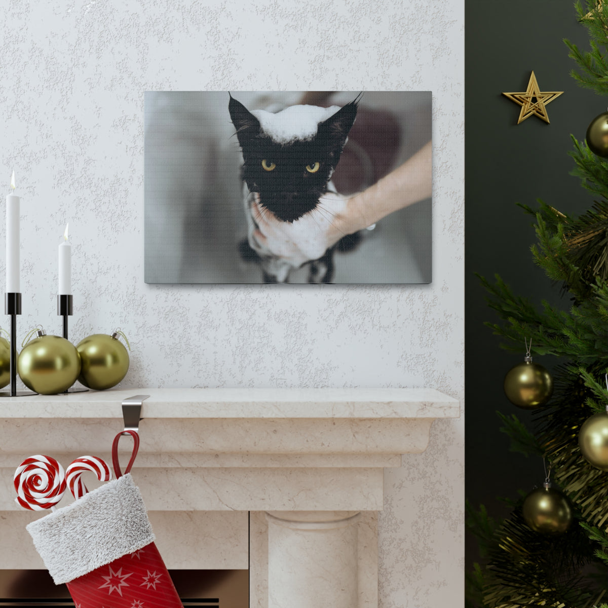 Cute Main Coon Bathee Canvas Wall Art for Home Decor Ready-to-Hang-Express Your Love Gifts