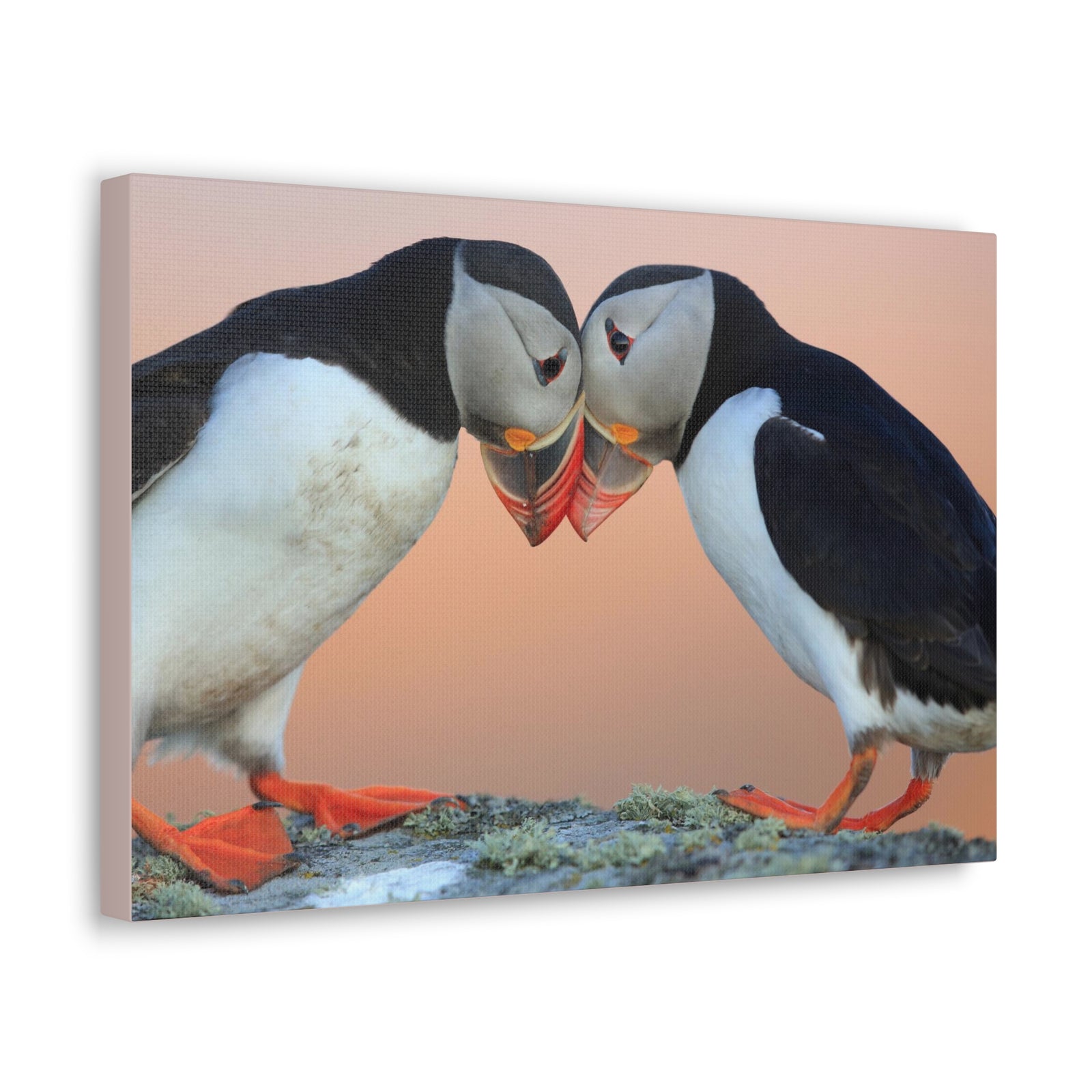 Funny Atlantic Puffin Silly Atlantic Puffin Couple Wall Art Ready to Hang-Express Your Love Gifts