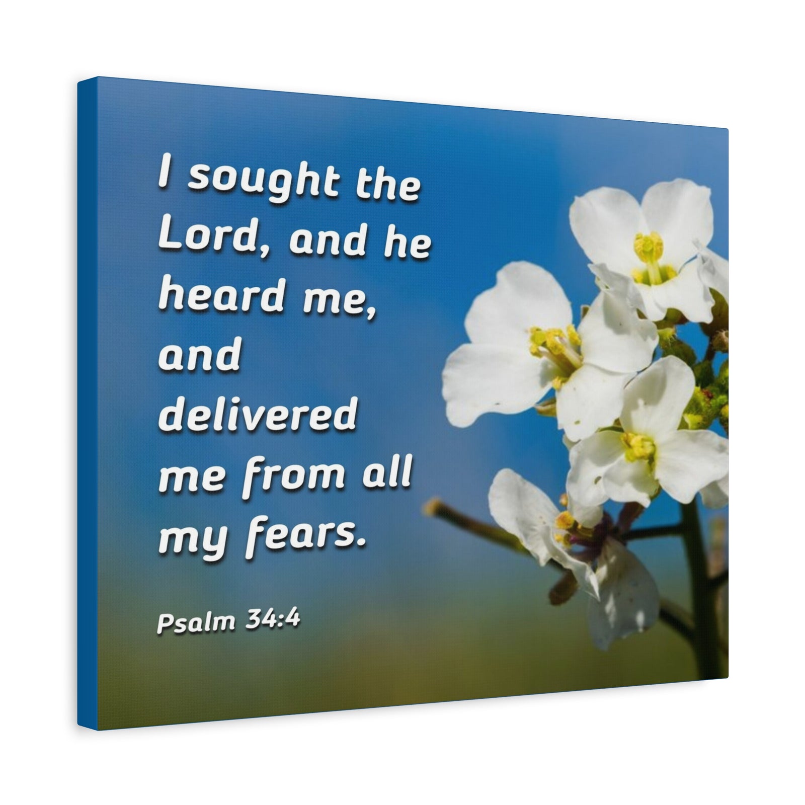 Scripture Canvas He Heard Me Psalm 34:4 Christian Wall Art Bible Verse Print Ready to Hang-Express Your Love Gifts