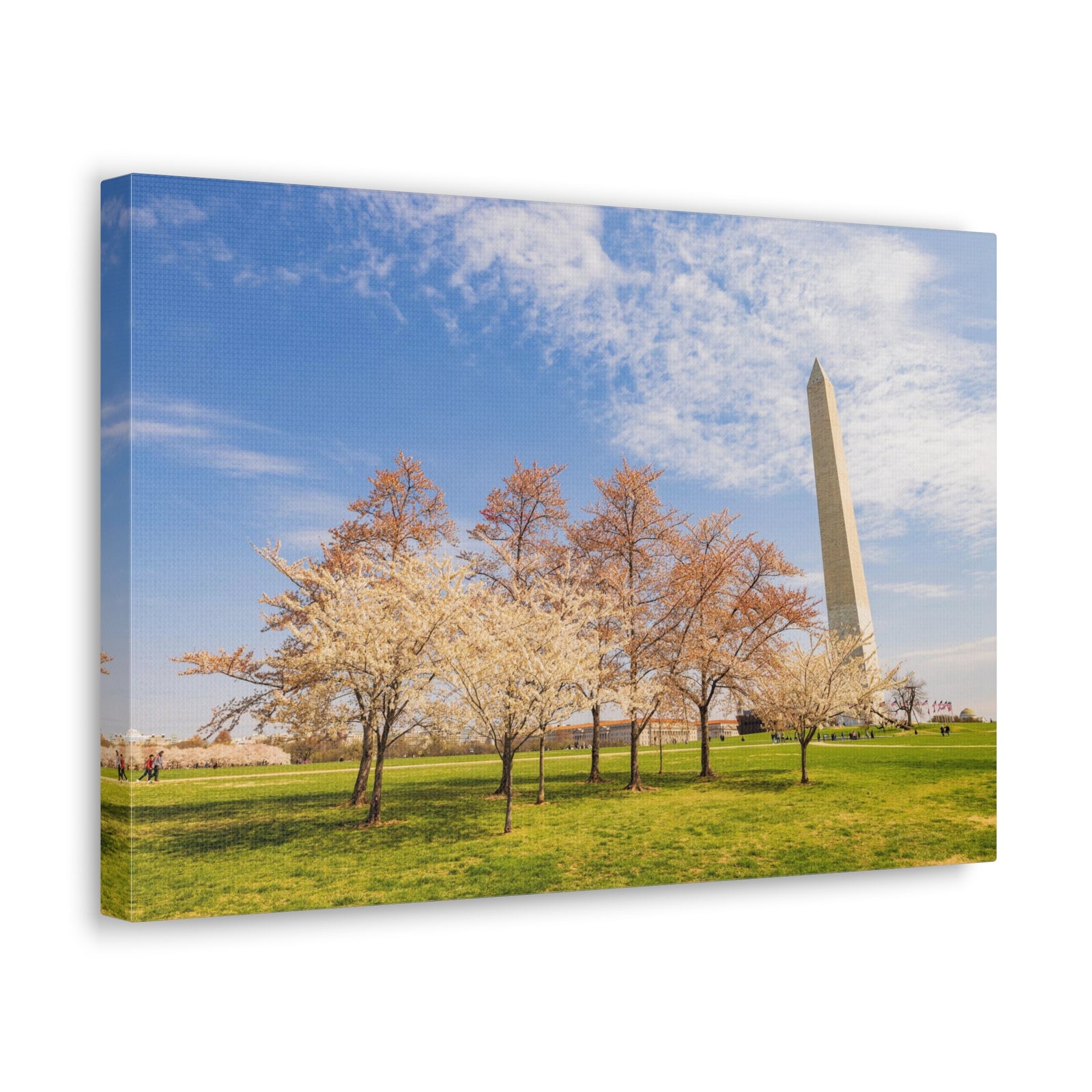Pink Tree Cherry Blossom Festival at The National Mall Washington Modern Multicolor Scenic Nature Photography Canvas Home Office Decor Ready to Hang-Express Your Love Gifts