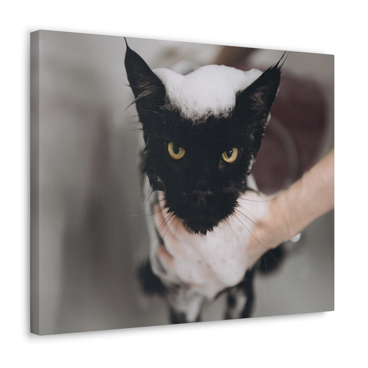 Cute Main Coon Bathee Canvas Wall Art for Home Decor Ready-to-Hang-Express Your Love Gifts