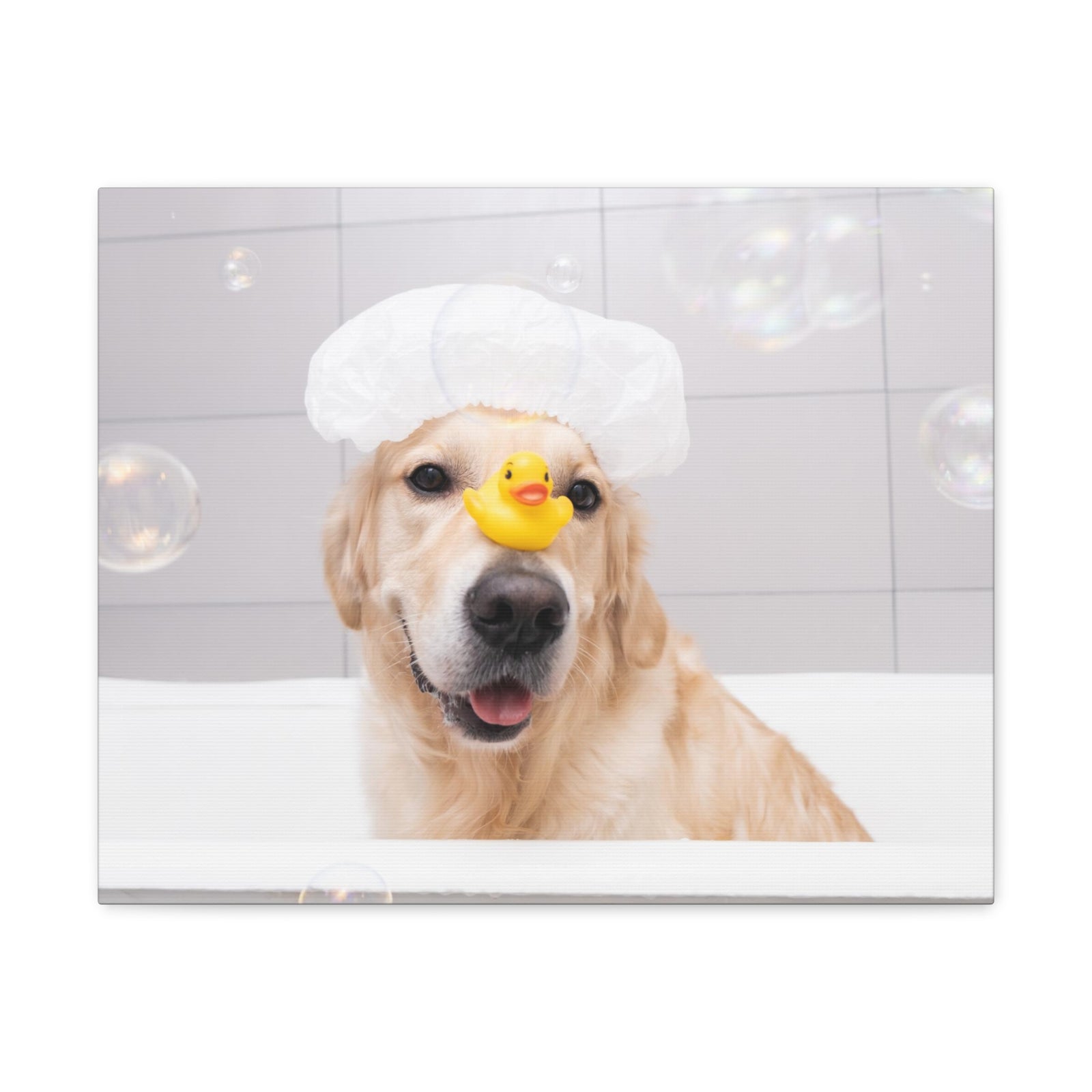 Cute Golden Retriever Bathee Canvas Wall Art for Home Decor Ready-to-Hang-Express Your Love Gifts