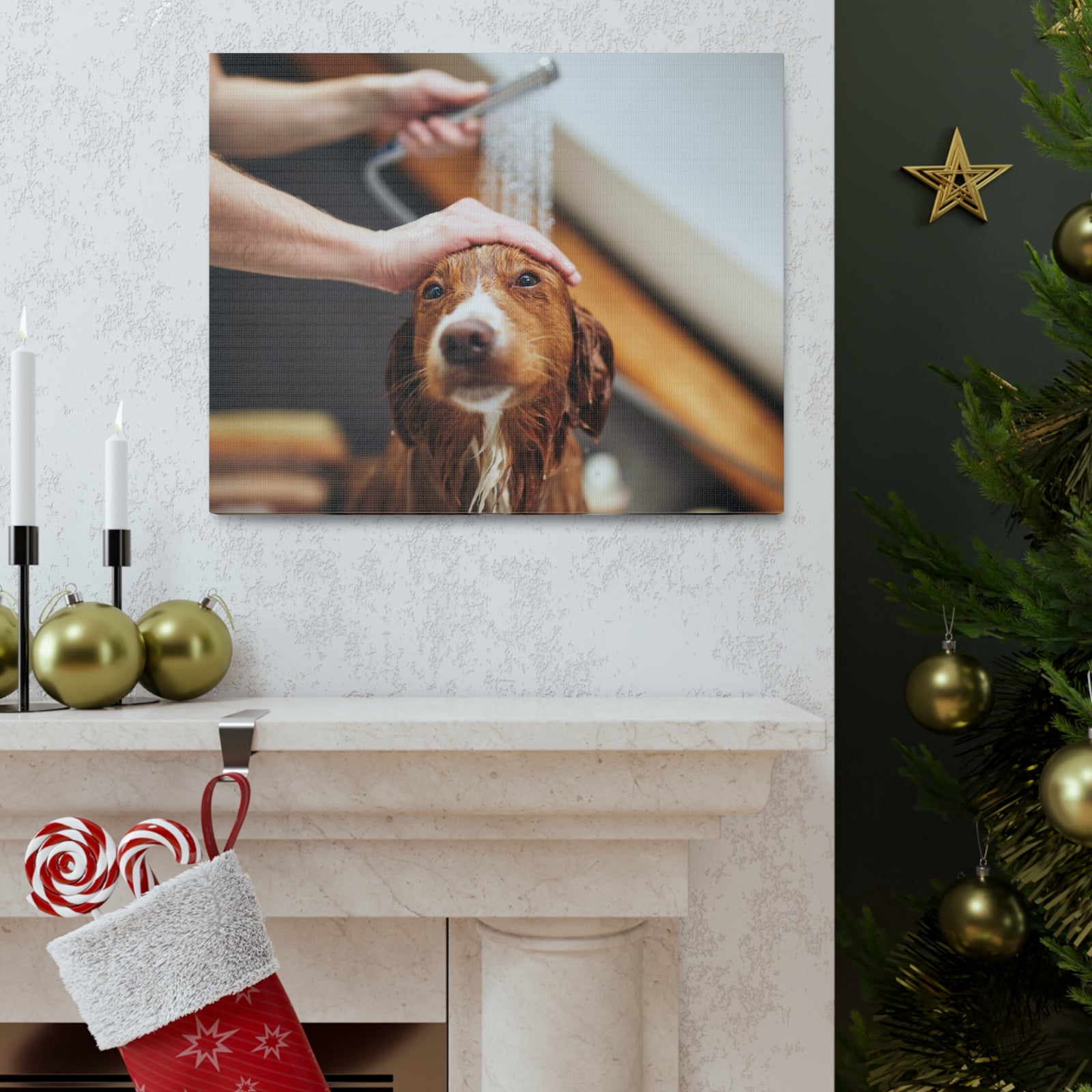 Cute Tolling Retriever Bath Canvas Wall Art for Home Decor Ready-to-Hang-Express Your Love Gifts