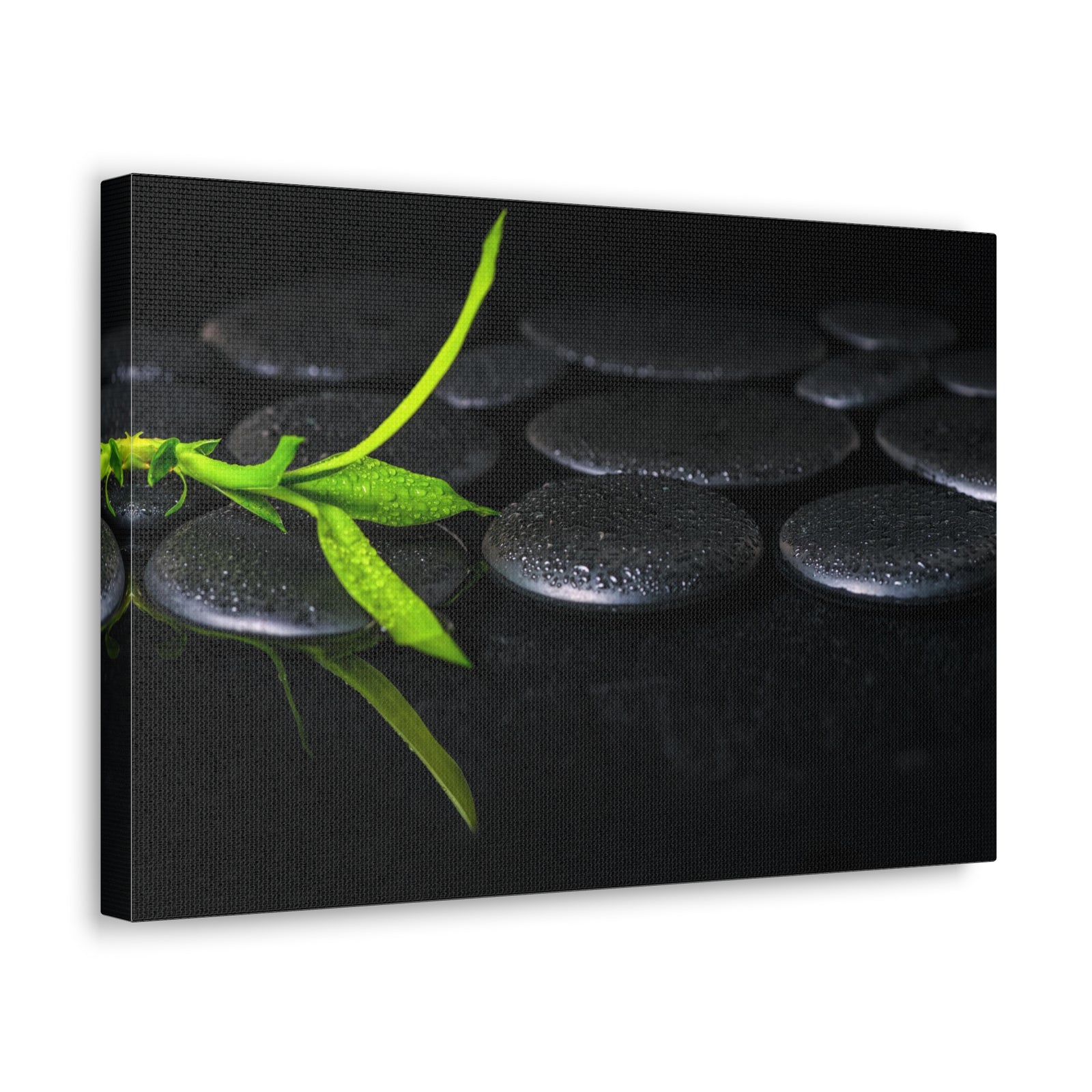 Green Bamboo on Stones Forest Floral Nature Photography Canvas Wall Art for Home Decor Ready-to-Hang-Express Your Love Gifts