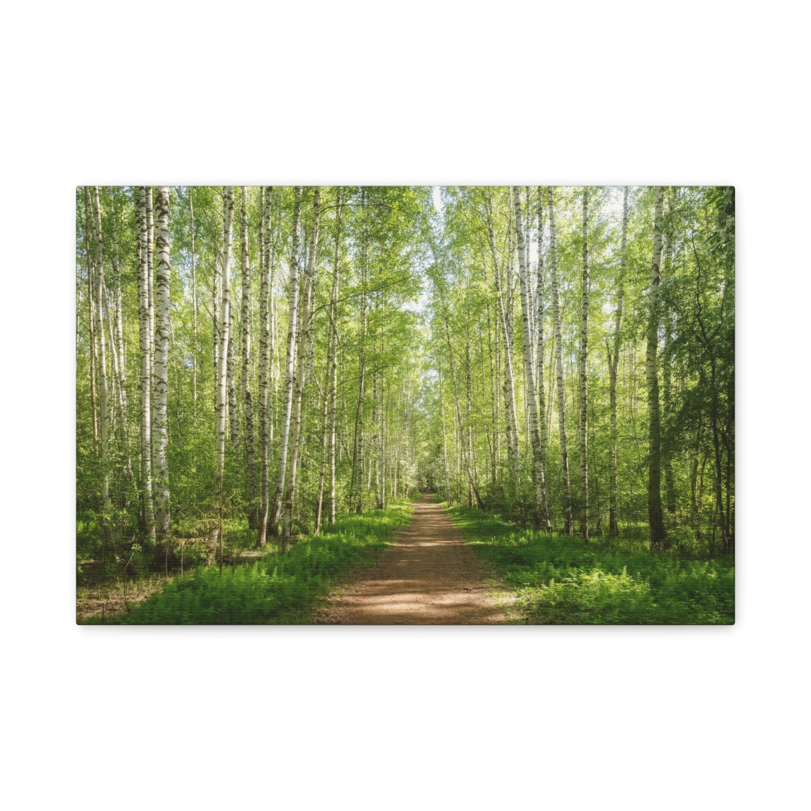 Forest Path Green Tree Nature Wilderness Photography Canvas Wall Art for Home Decor Ready-to-Hang-Express Your Love Gifts