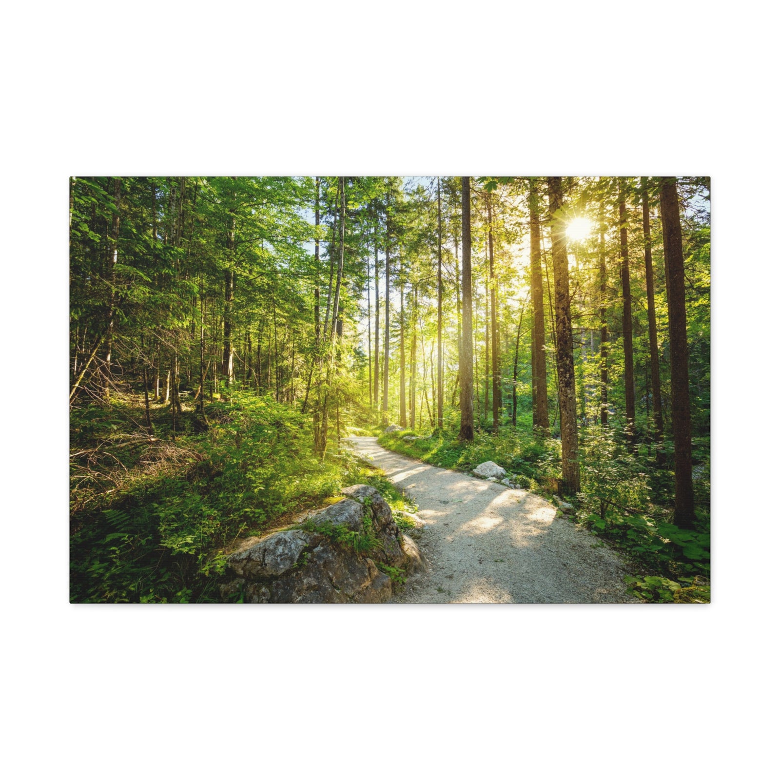 Sunlight Passing Through Green Forest Path Nature Wilderness Photography Canvas Wall Art for Home Decor Ready-to-Hang-Express Your Love Gifts
