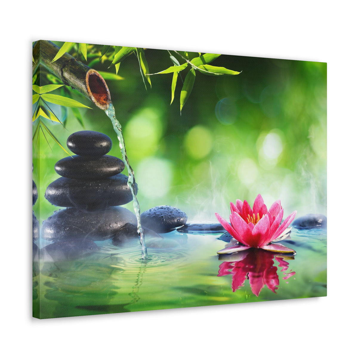 Stones and Waterlily Forest Floral Nature Photography Canvas Wall Art for Home Decor Ready-to-Hang-Express Your Love Gifts
