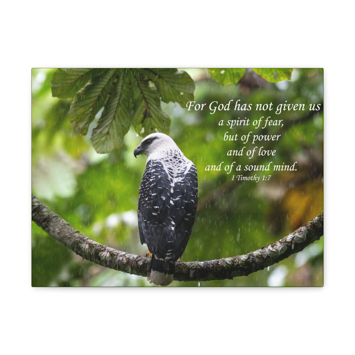 Scripture Canvas A Sound Mind 1 Timothy 1:7 Christian Wall Art Bible Verse Print Ready to Hang-Express Your Love Gifts