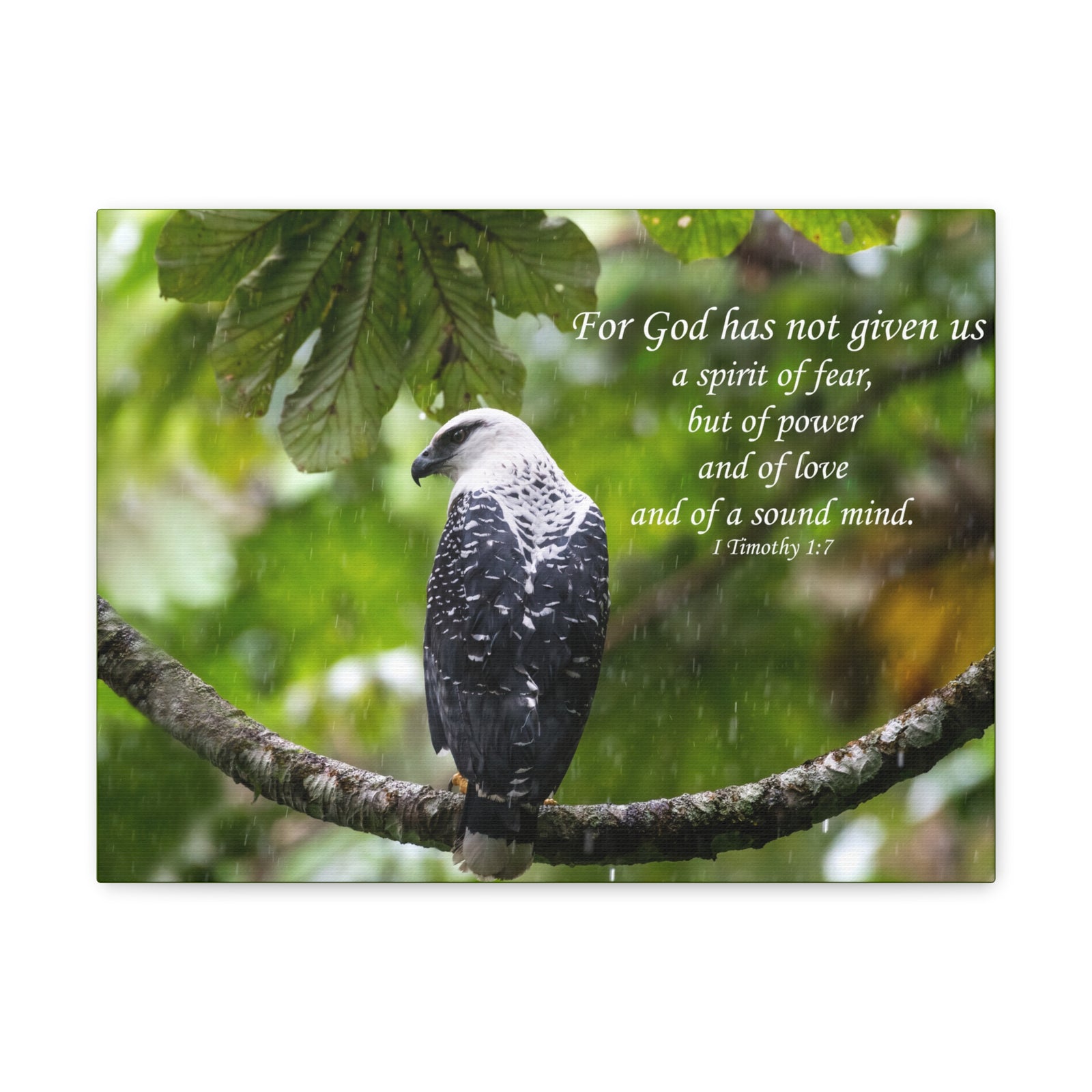 Scripture Canvas A Sound Mind 1 Timothy 1:7 Christian Wall Art Bible Verse Print Ready to Hang-Express Your Love Gifts