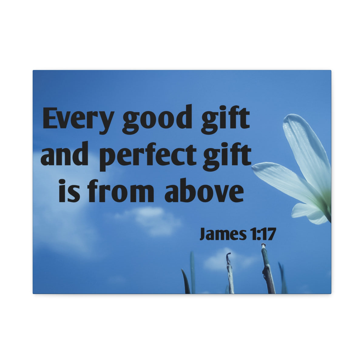 Scripture Canvas Perfect Gift James 1:17 Christian Wall Art Bible Verse Print Ready to Hang-Express Your Love Gifts