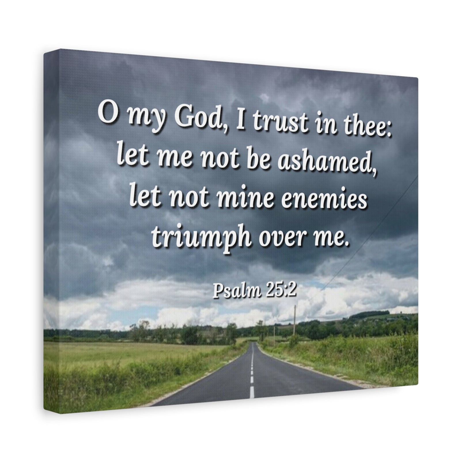 Scripture Canvas Triumph Psalm 25:2 Christian Wall Art Bible Verse Print Ready to Hang-Express Your Love Gifts