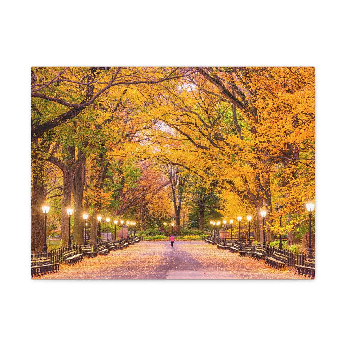 Orange Tree Autumn Park Nature Wilderness Photography Canvas Wall Art for Home Decor Ready-to-Hang-Express Your Love Gifts