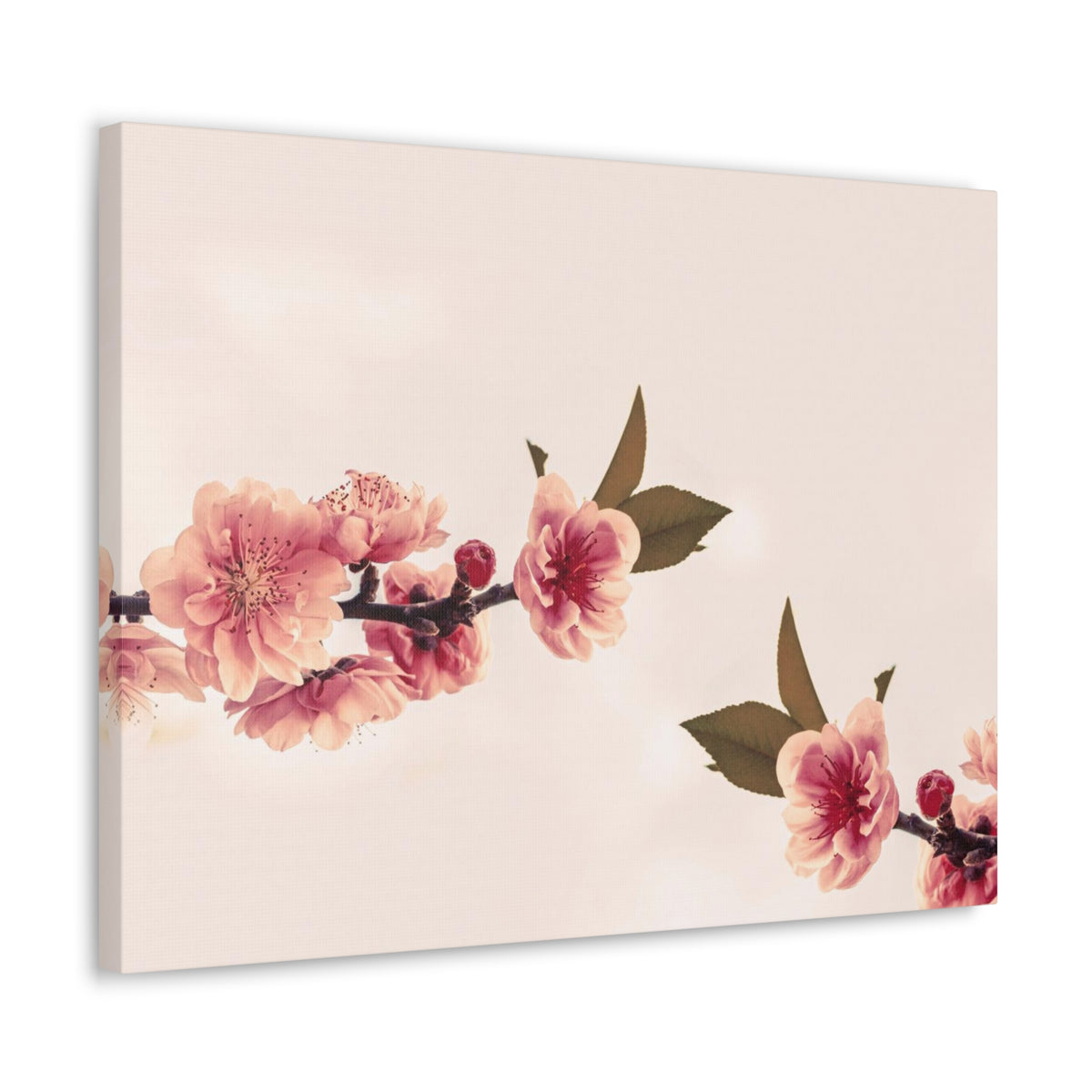 Peach Blossoms with Space Forest Floral Nature Photography Canvas Wall Art for Home Decor Ready-to-Hang-Express Your Love Gifts