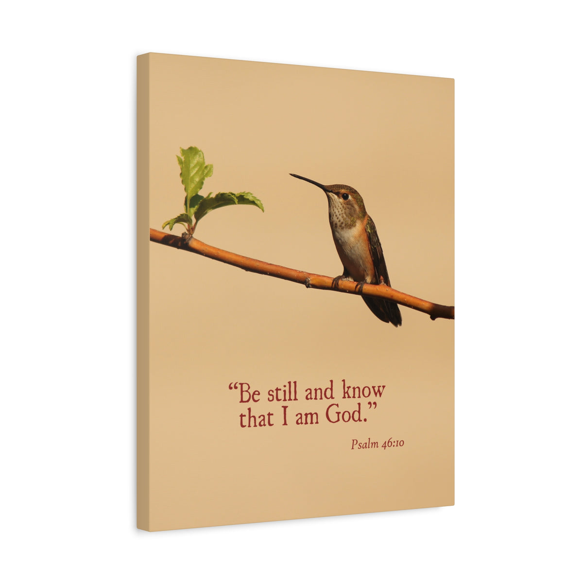 Scripture Canvas Know That I Am God Psalm 46:10 Christian Wall Art Bible Verse Print Ready to Hang-Express Your Love Gifts
