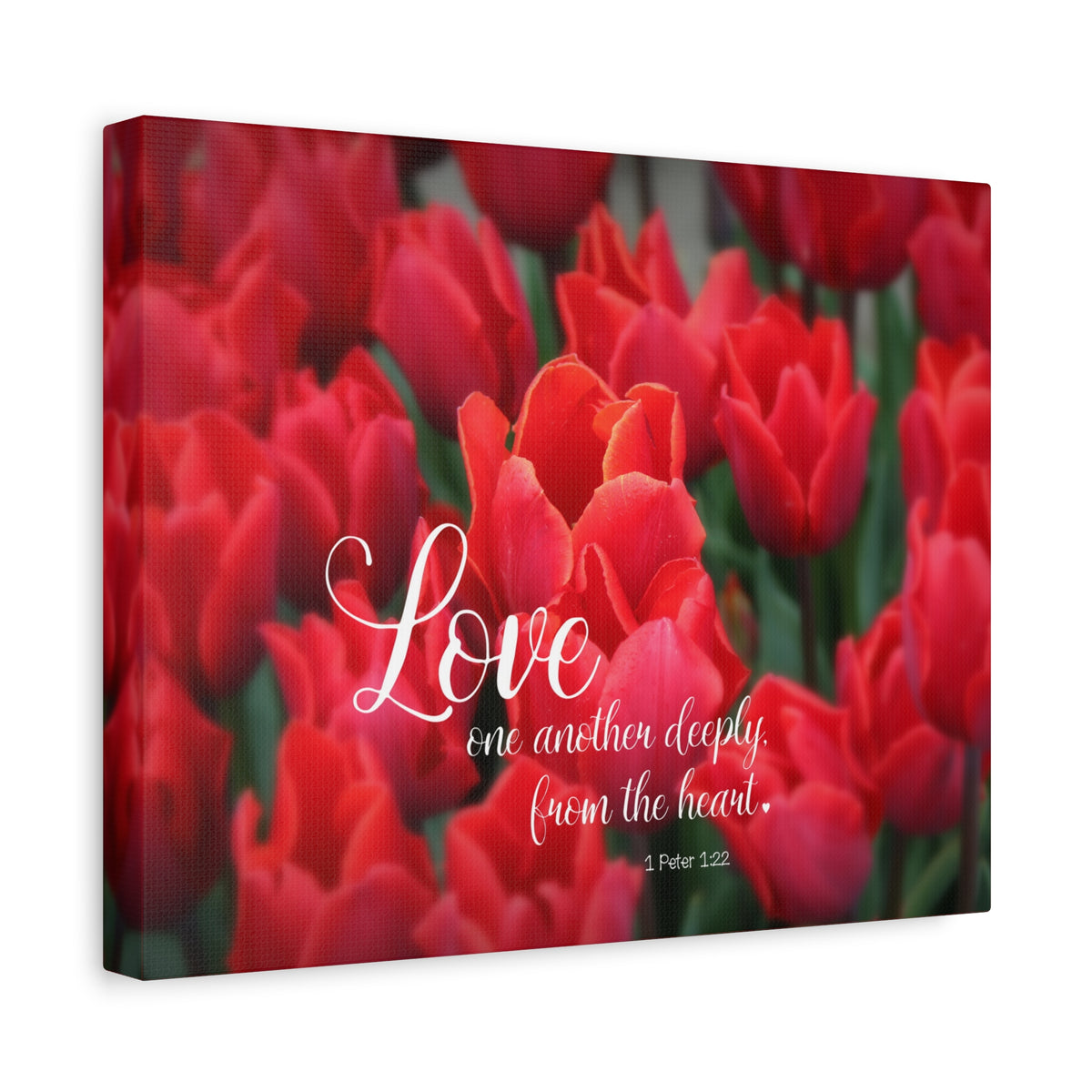 Scripture Canvas From The Heart 1 Peter 1:22 Christian Wall Art Bible Verse Print Ready to Hang-Express Your Love Gifts