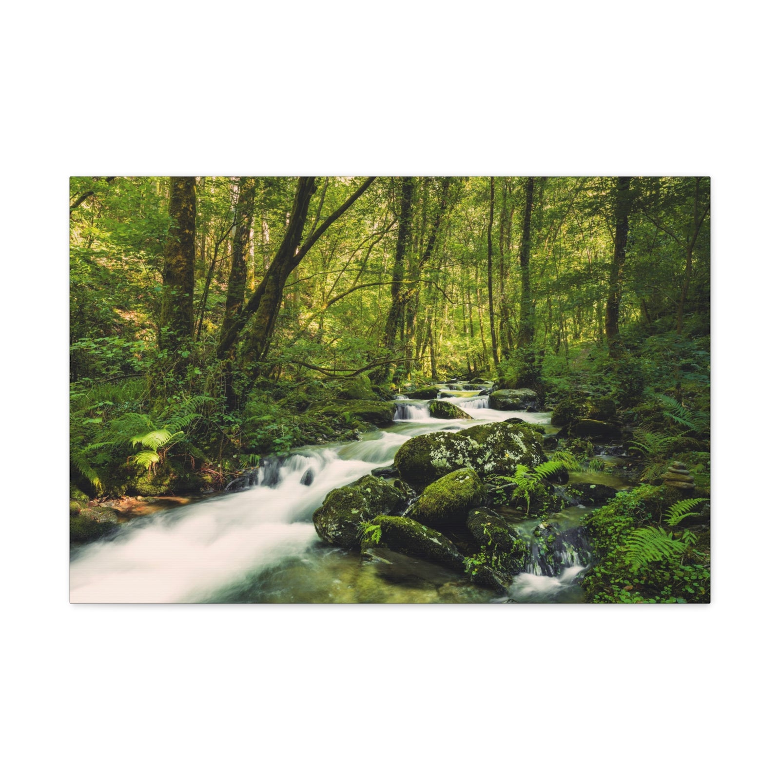 Green Forest River Nature Wilderness Photography Canvas Wall Art for Home Decor Ready-to-Hang-Express Your Love Gifts