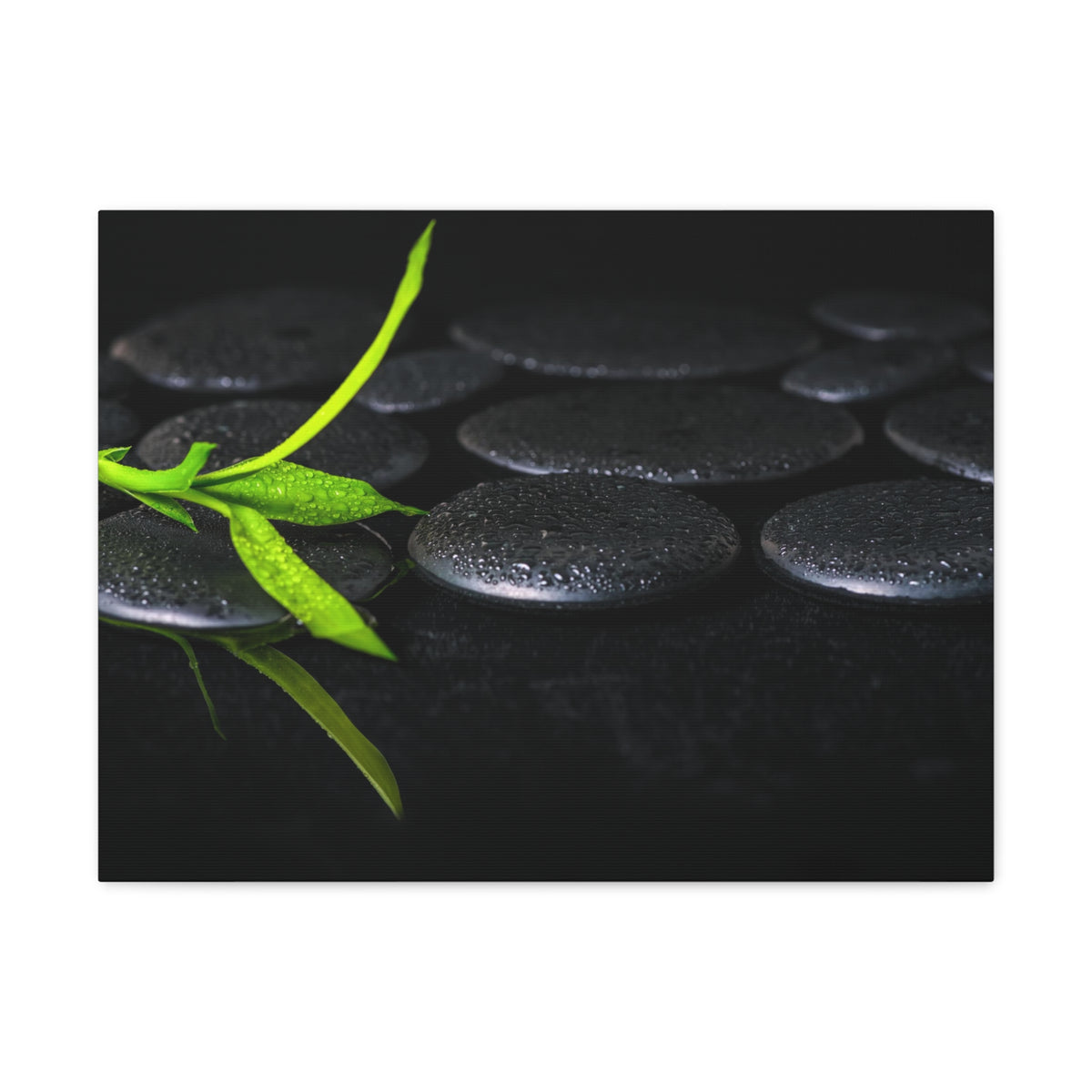 Green Bamboo on Stones Forest Floral Nature Photography Canvas Wall Art for Home Decor Ready-to-Hang-Express Your Love Gifts