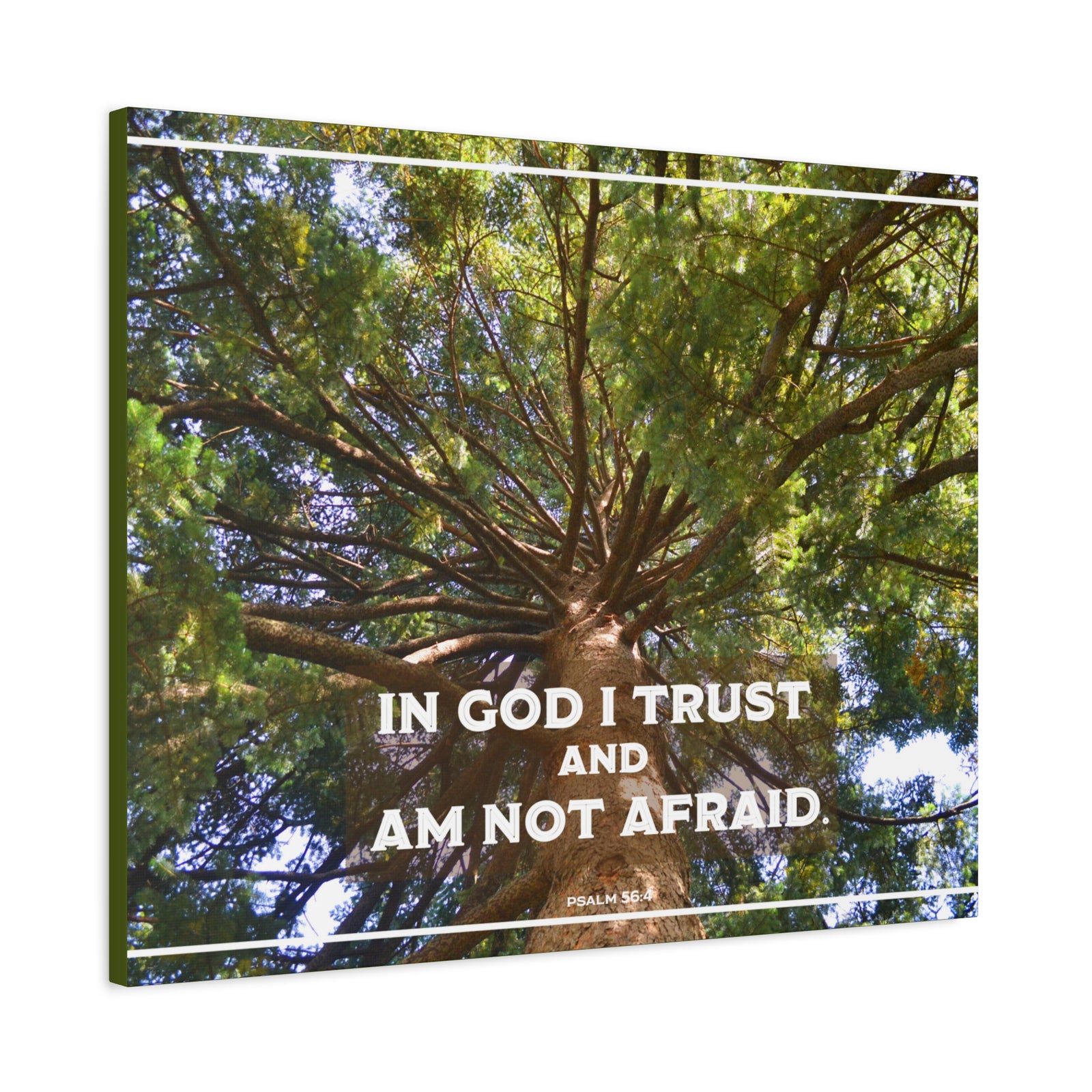 Scripture Walls In God I Trust Psalm 56:4 Bible Verse Canvas Christian Wall Art Ready to Hang-Express Your Love Gifts