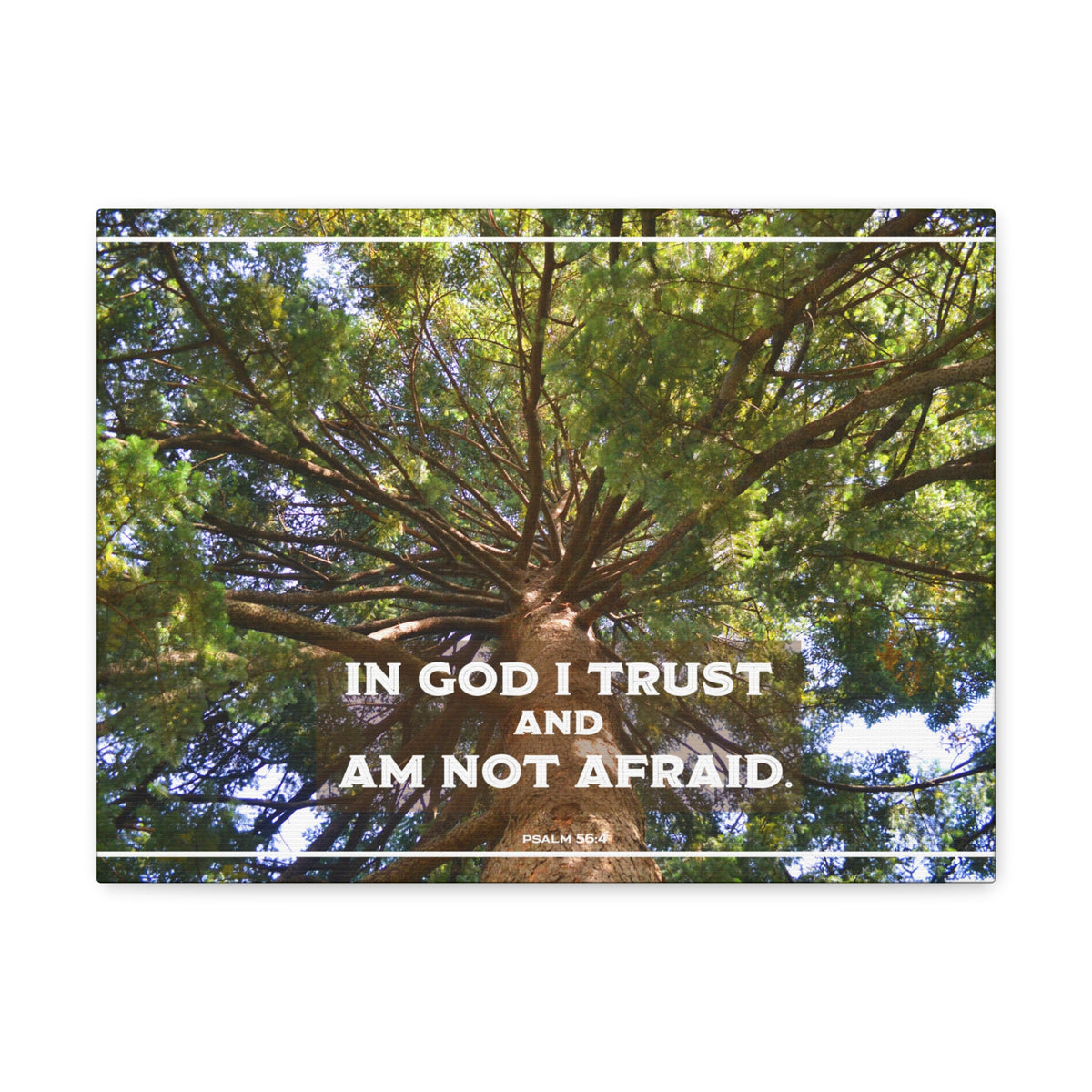 Scripture Walls In God I Trust Psalm 56:4 Bible Verse Canvas Christian Wall Art Ready to Hang-Express Your Love Gifts