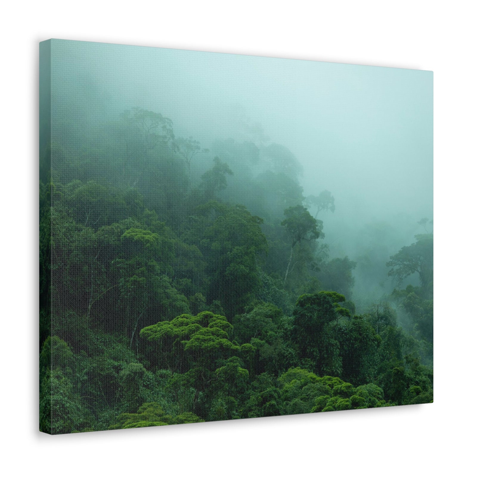 Dark Misty Forest Nature Wilderness Photography Canvas Wall Art for Home Decor Ready-to-Hang-Express Your Love Gifts