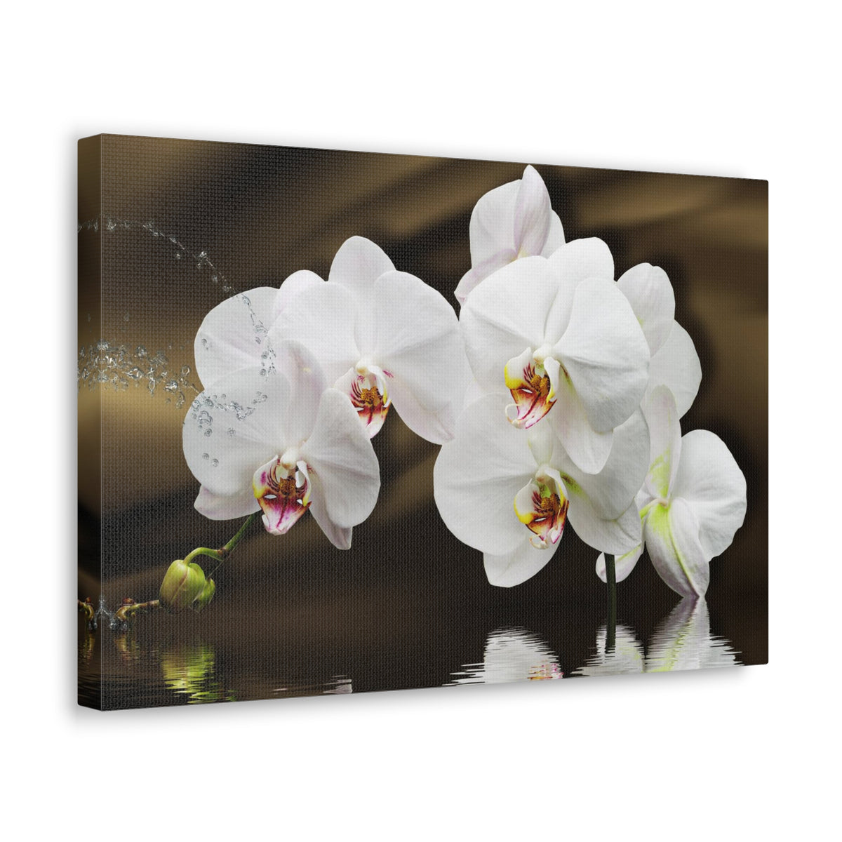 Orchids Reflected in Water Flower Canvas Wall Art for Home Decor Ready-to-Hang-Express Your Love Gifts