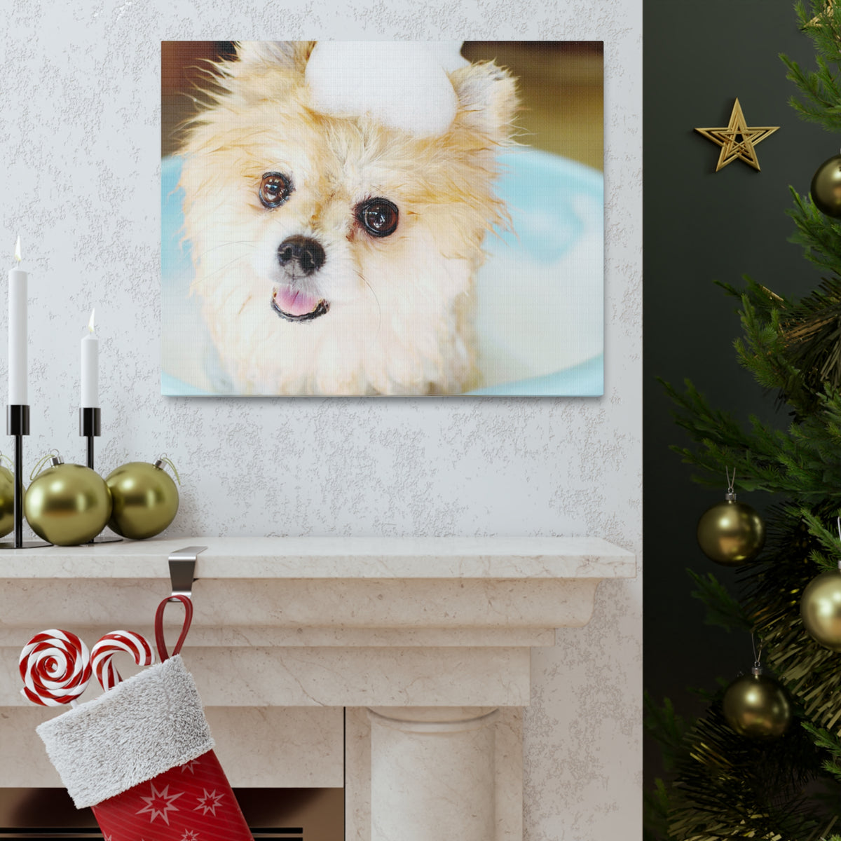 Cute Pomeranian Bathee Canvas Wall Art for Home Decor Ready-to-Hang-Express Your Love Gifts