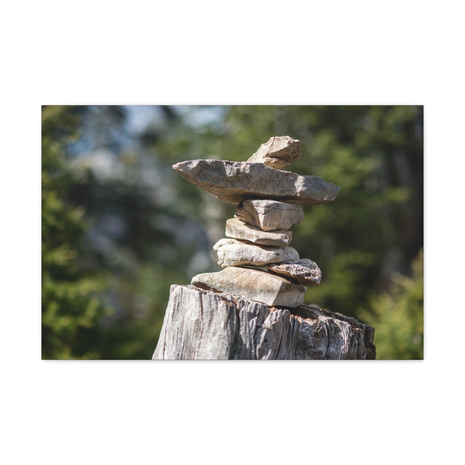 Stones Trail as Marker Forest Floral Nature Photography Canvas Wall Art for Home Decor Ready-to-Hang-Express Your Love Gifts