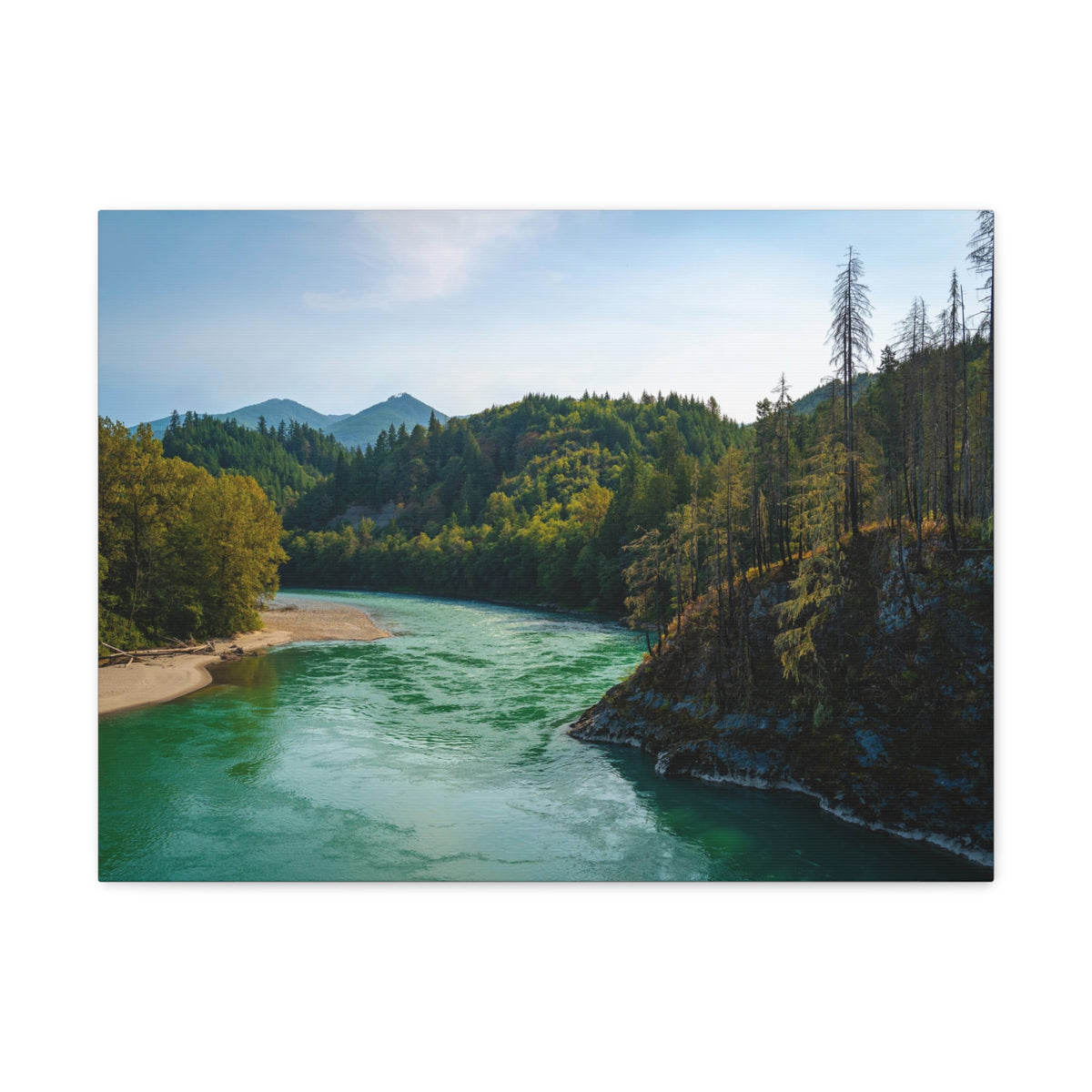 River Through Pine Tree Green Forest Nature Wilderness Photography Canvas Wall Art for Home Decor Ready-to-Hang-Express Your Love Gifts