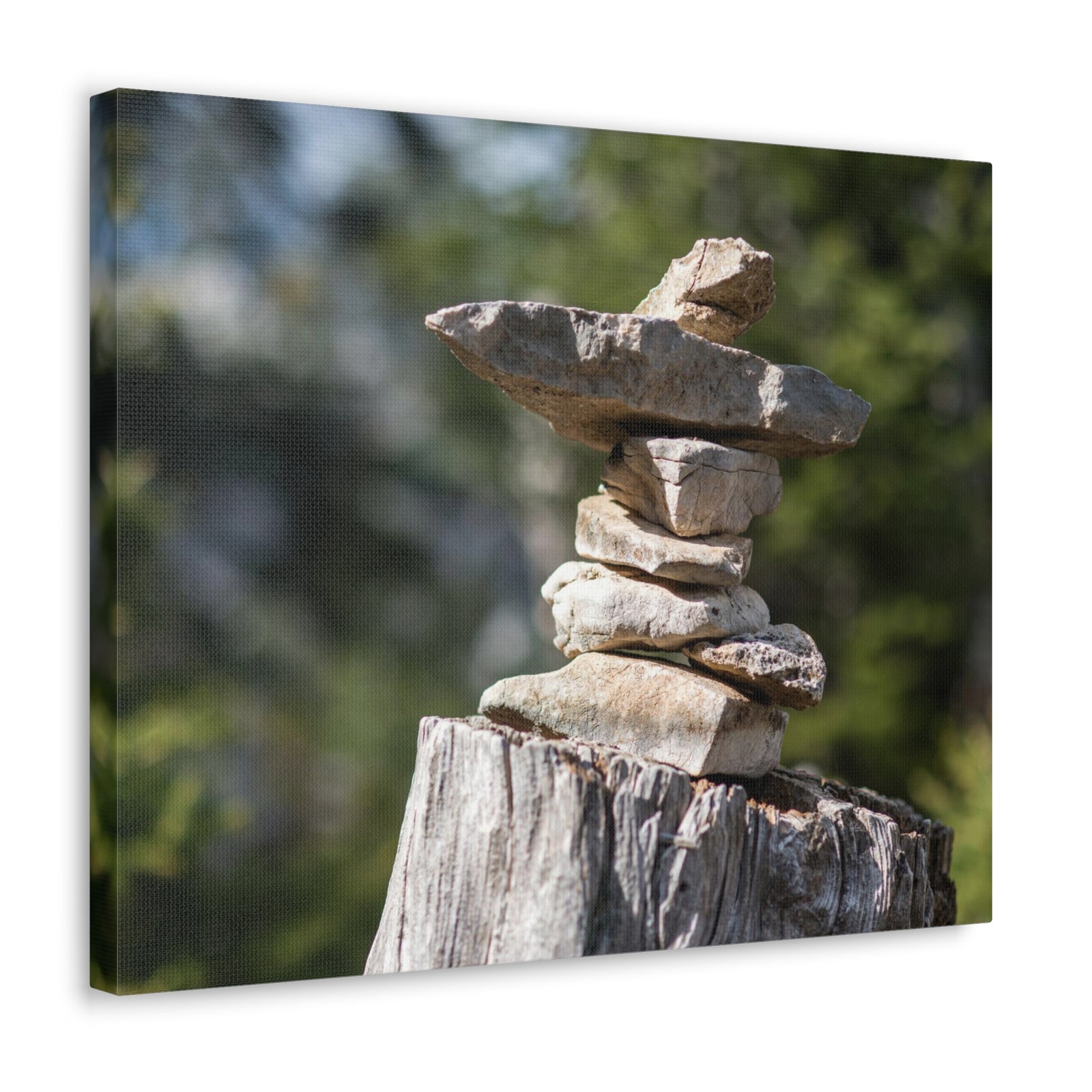 Stones Trail as Marker Forest Floral Nature Photography Canvas Wall Art for Home Decor Ready-to-Hang-Express Your Love Gifts