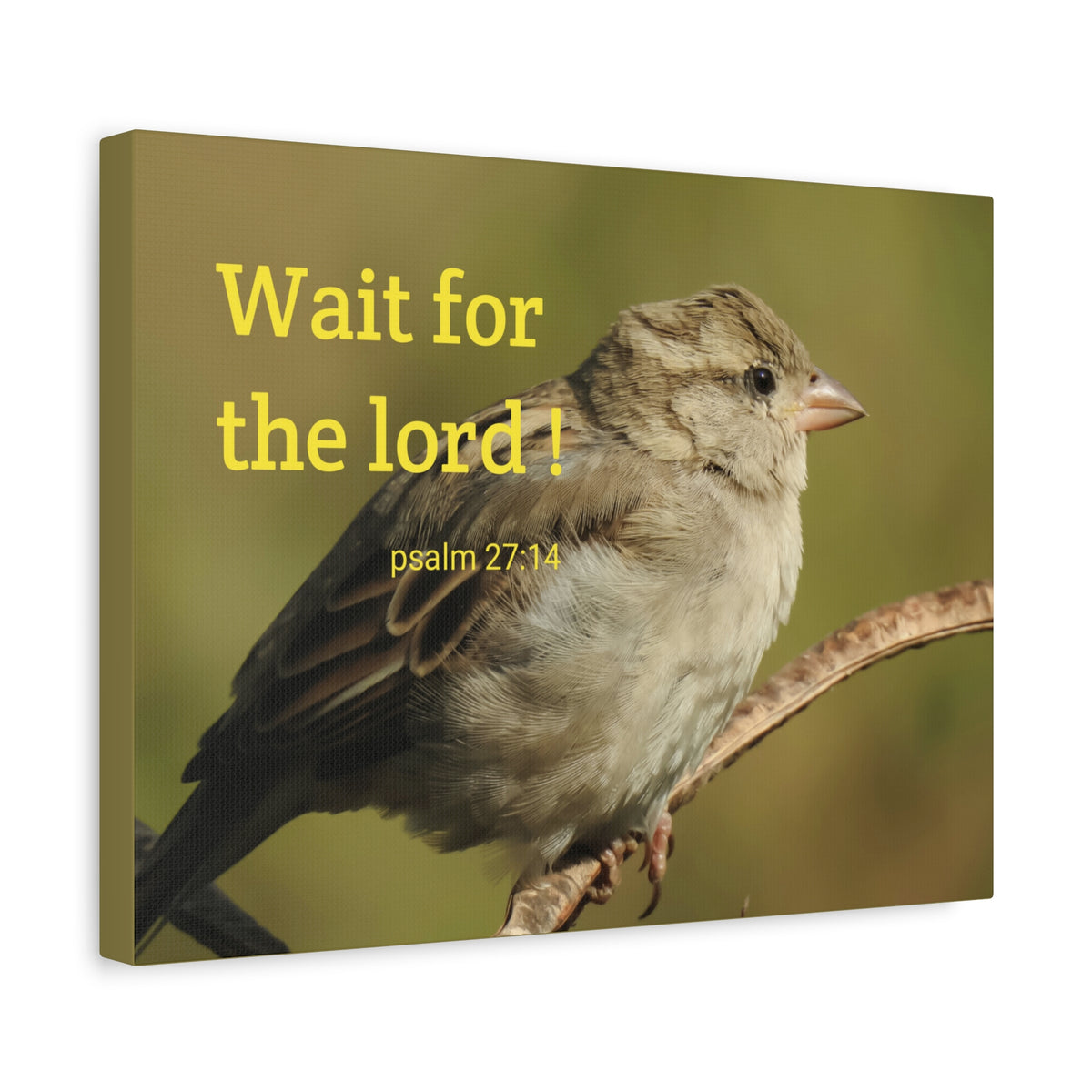 Scripture Walls Wait For The Lord Psalm 27:14 Bible Verse Canvas Christian Wall Art Ready to Hang-Express Your Love Gifts